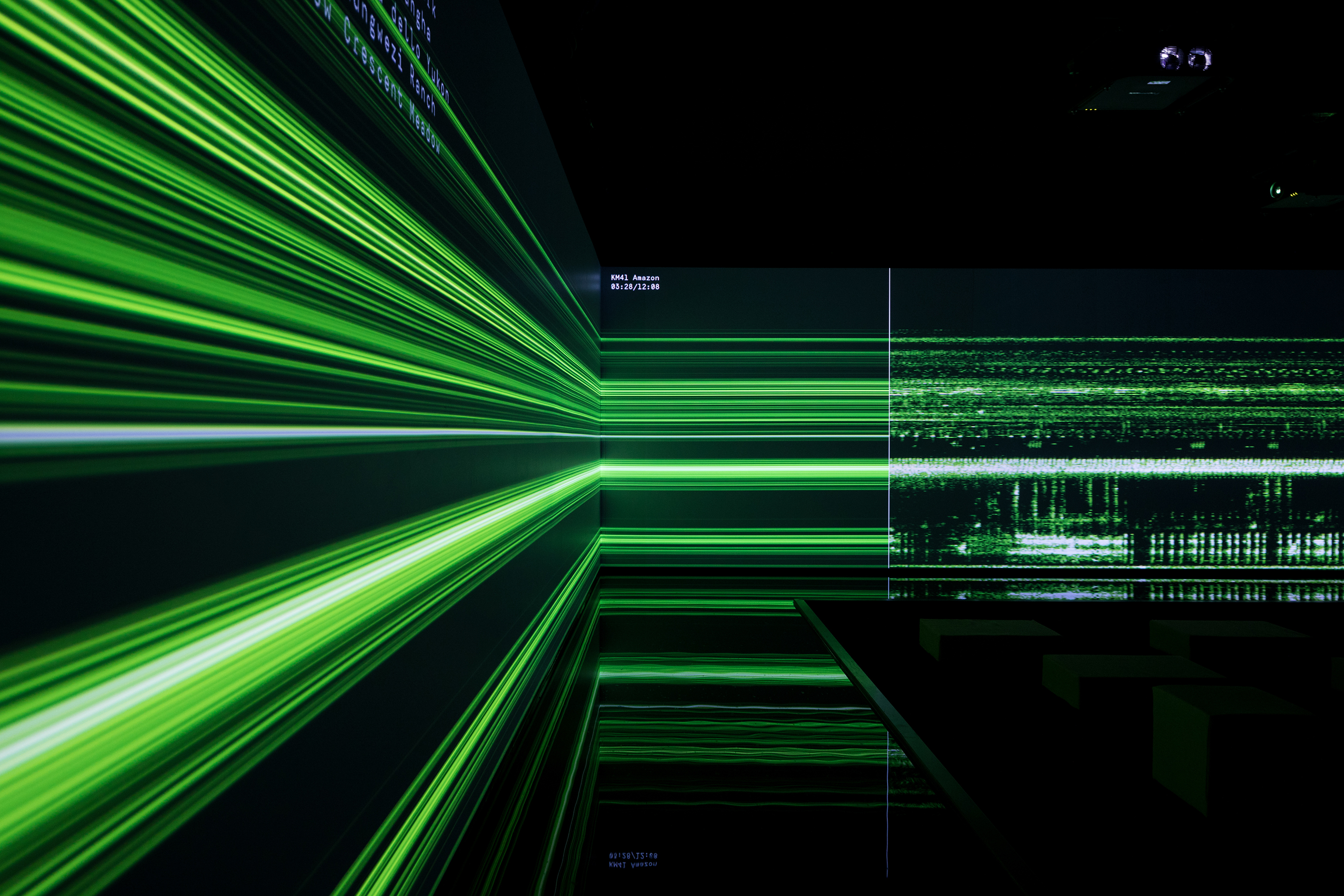 Keine realen Bilder, sondern über horizontal verlaufende Lichtbänder visualisierte Geräusche aus natürlichen Habitaten zeigte der Bereich des «Great Animal Orchestras» und verdeutlichte so eindrücklich die akustische Vielfalt von Ozeanen und Regenwäldern.