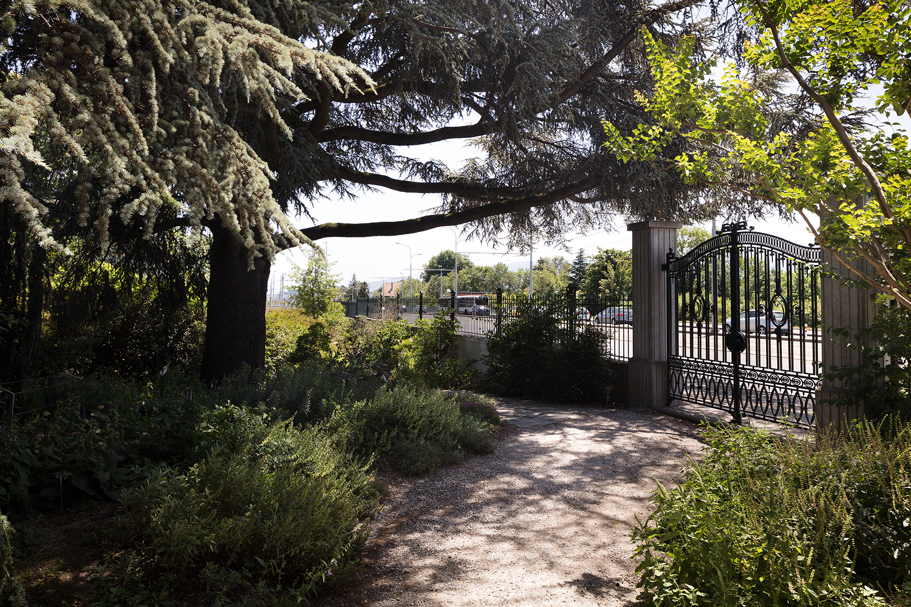 Der Jardin botanique alpin in Meyrin GE