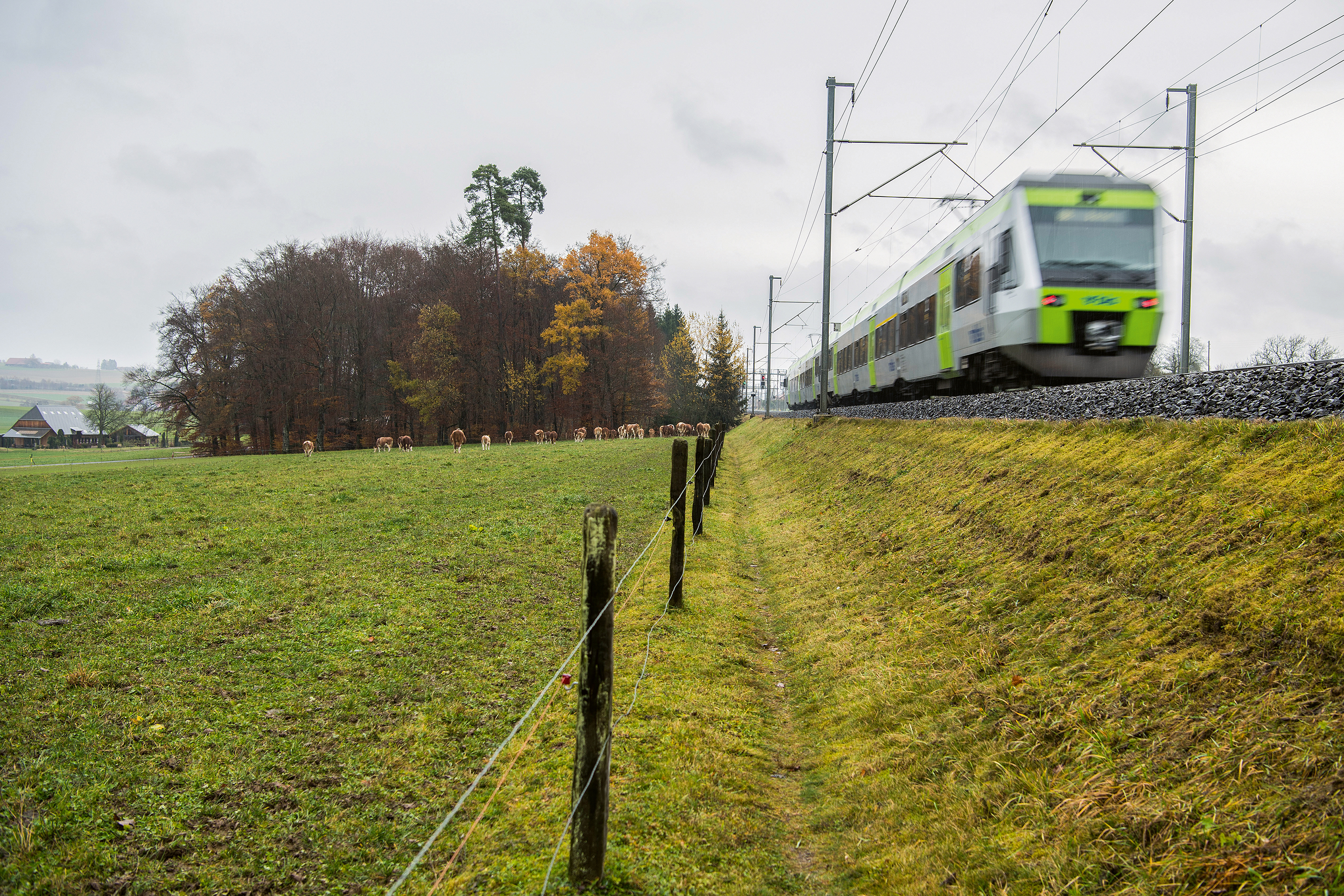 Im Westen Berns treffen die Bedürfnisse der Bahn und der Landschaftsschützer aufeinander.