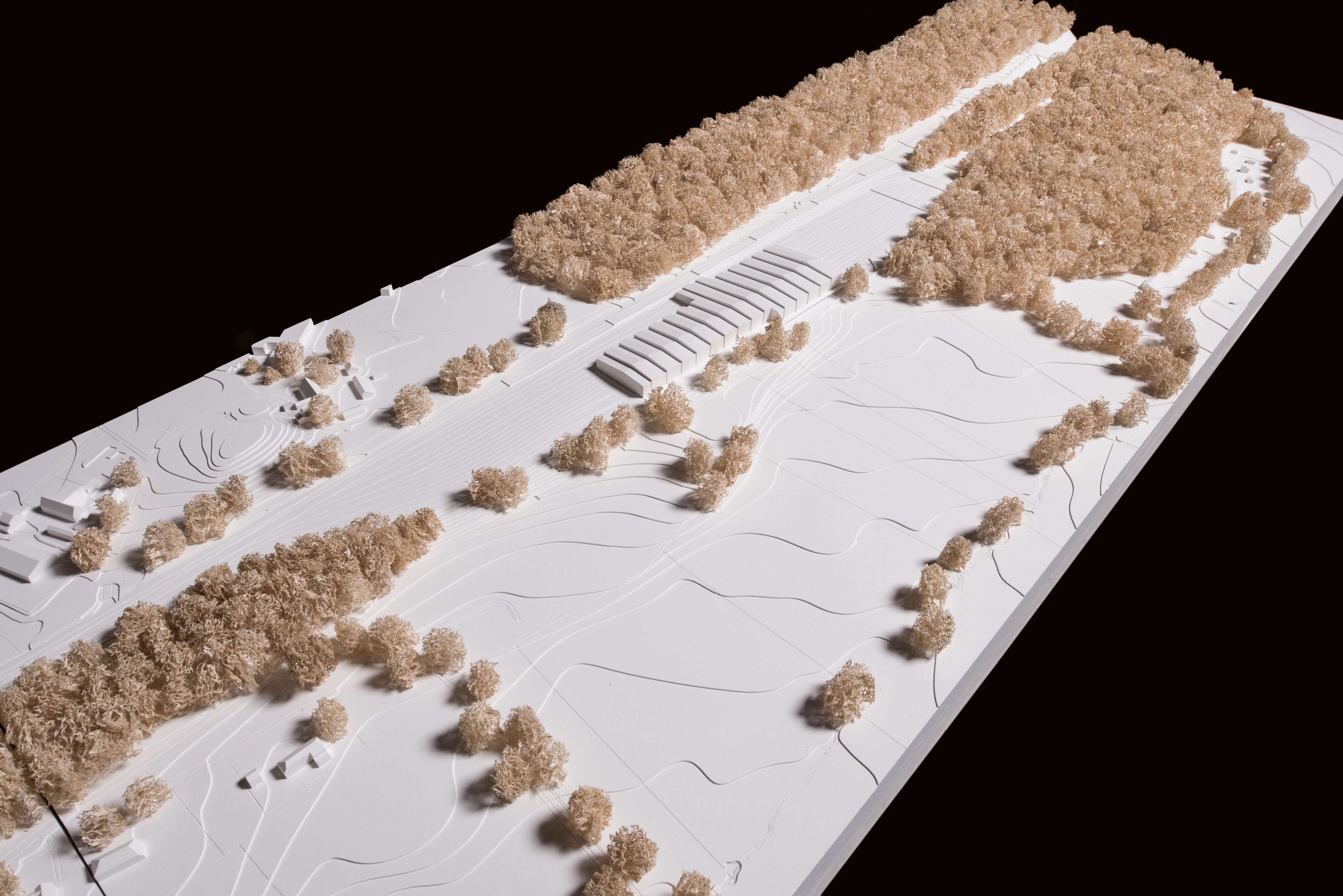 Teilnehmer: Roduner BSB + Partner, Liebefeld.