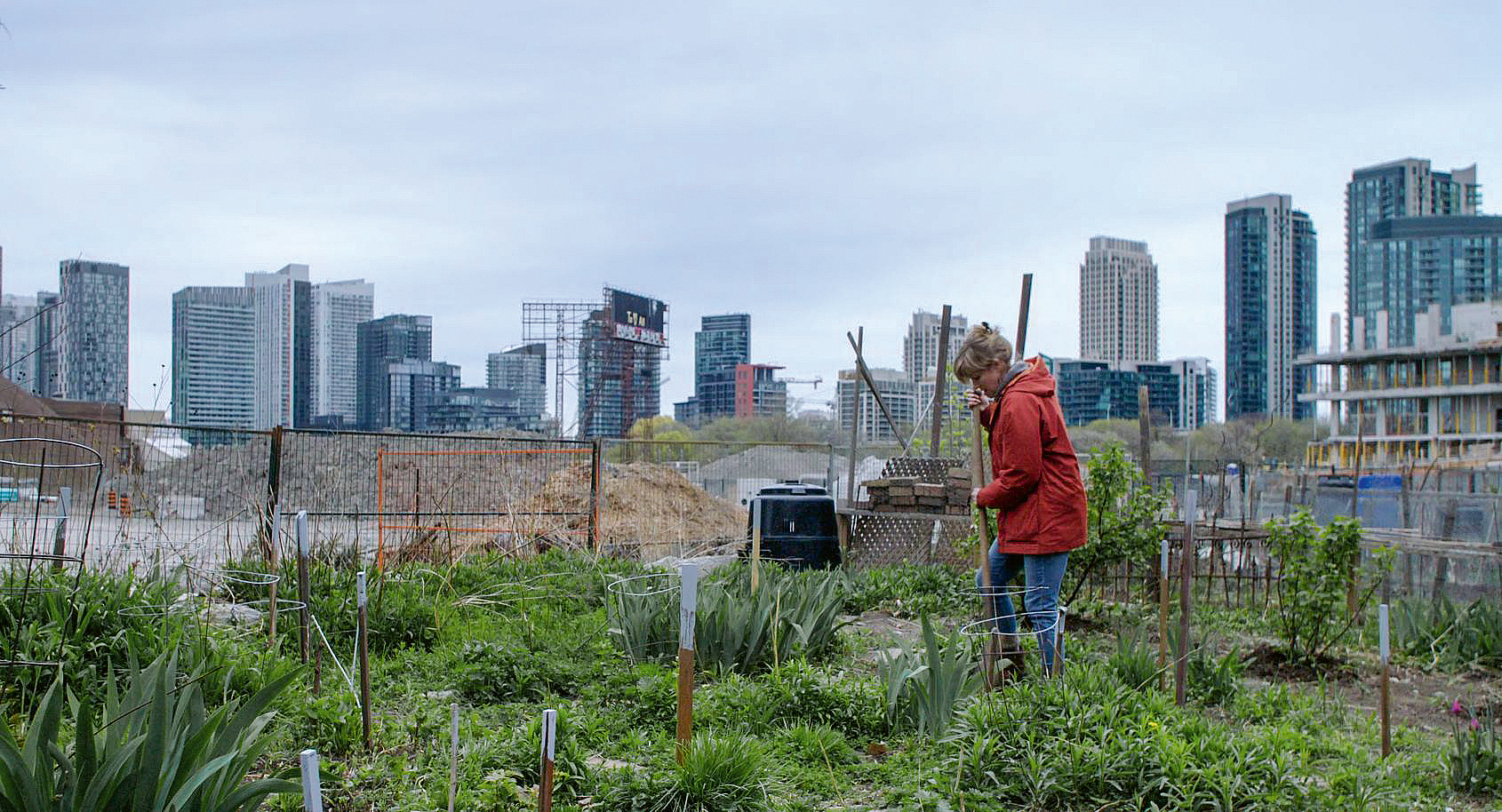 Die fatale Entwicklung von Städten ist nicht auf ein bestimmtes Land beschränkt, sondern ein globales Problem. Auch in Toronto stehen die Bedürfnisse der ­Bewohner im Kontrast zur praktizierten Bebauung.