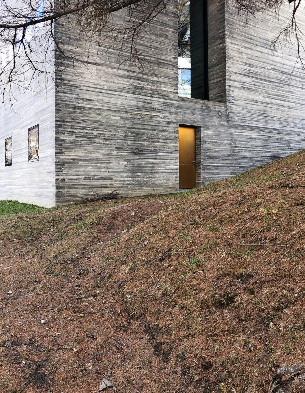 Entrata laterale alle Terme di Vals sotto un abete rosso