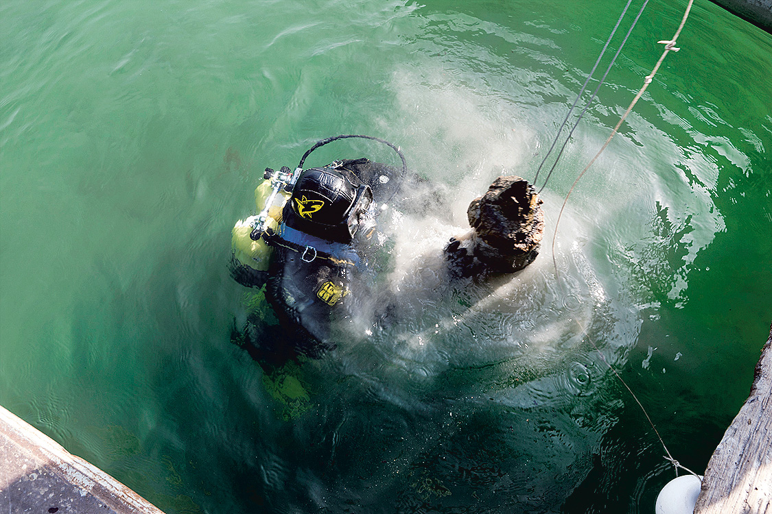 Station du Plonjon, arrachage d’une pointe de pieux en chêne