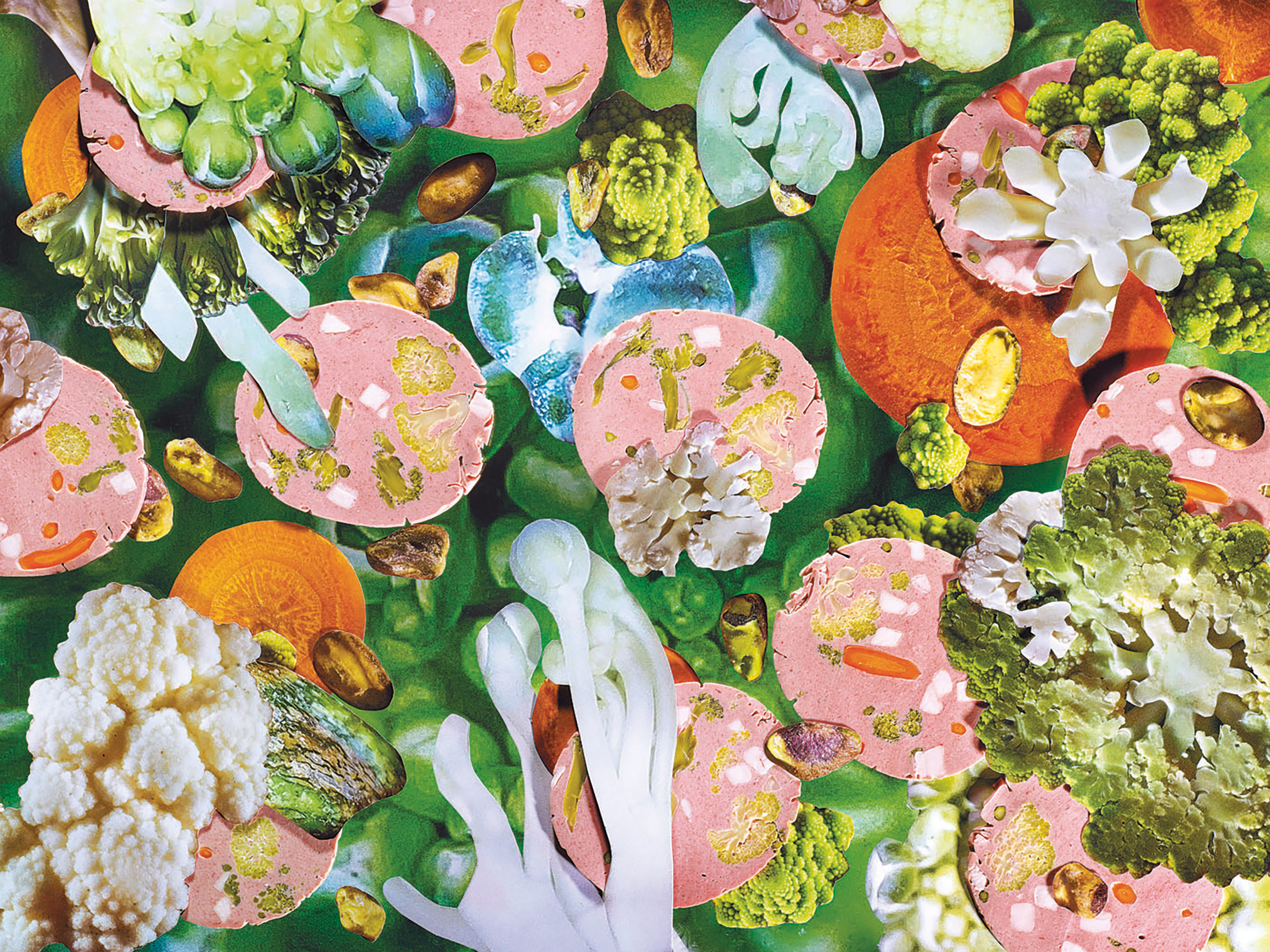 Concepito da Carolin Niebling, uno dei due candidati nella categoria «Research» è «The Sausage of the Future», libro di ricette dedicate a salsicce che uniscono aspirazioni futuristiche (contengono una quantità ridotta, se non nulla, di carne) e preparazioni tradizionali.