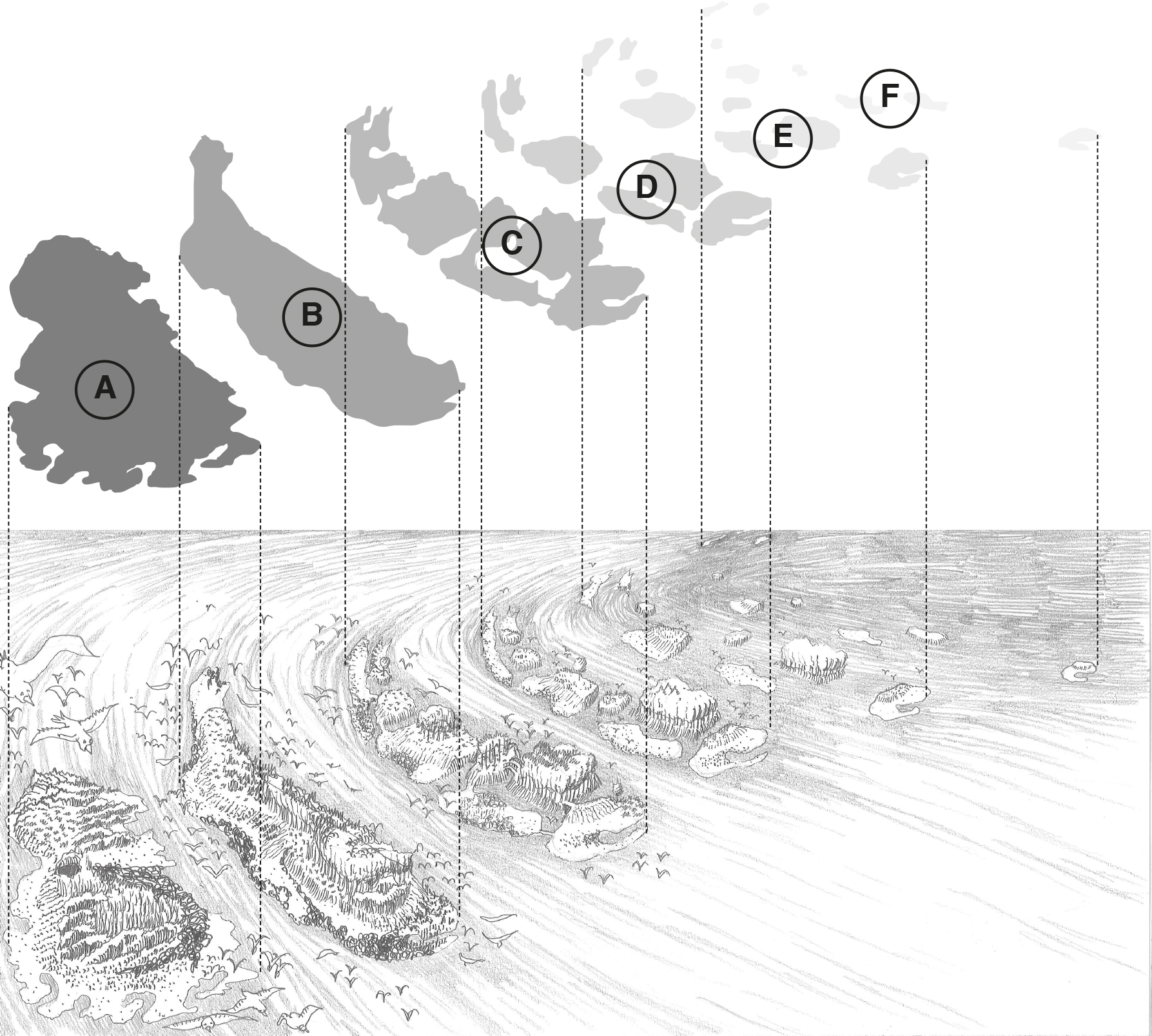 Schématisation d’un archipel, montrant l’effet de la fragmentation sur la biodiversité: de la grande île A, où la richesse est optimale, jusqu’à F, où elle est minuscule. La mise en réseau des fragments est à l’origine des concepts d’infrastructure écologique et de trames verte et bleue.