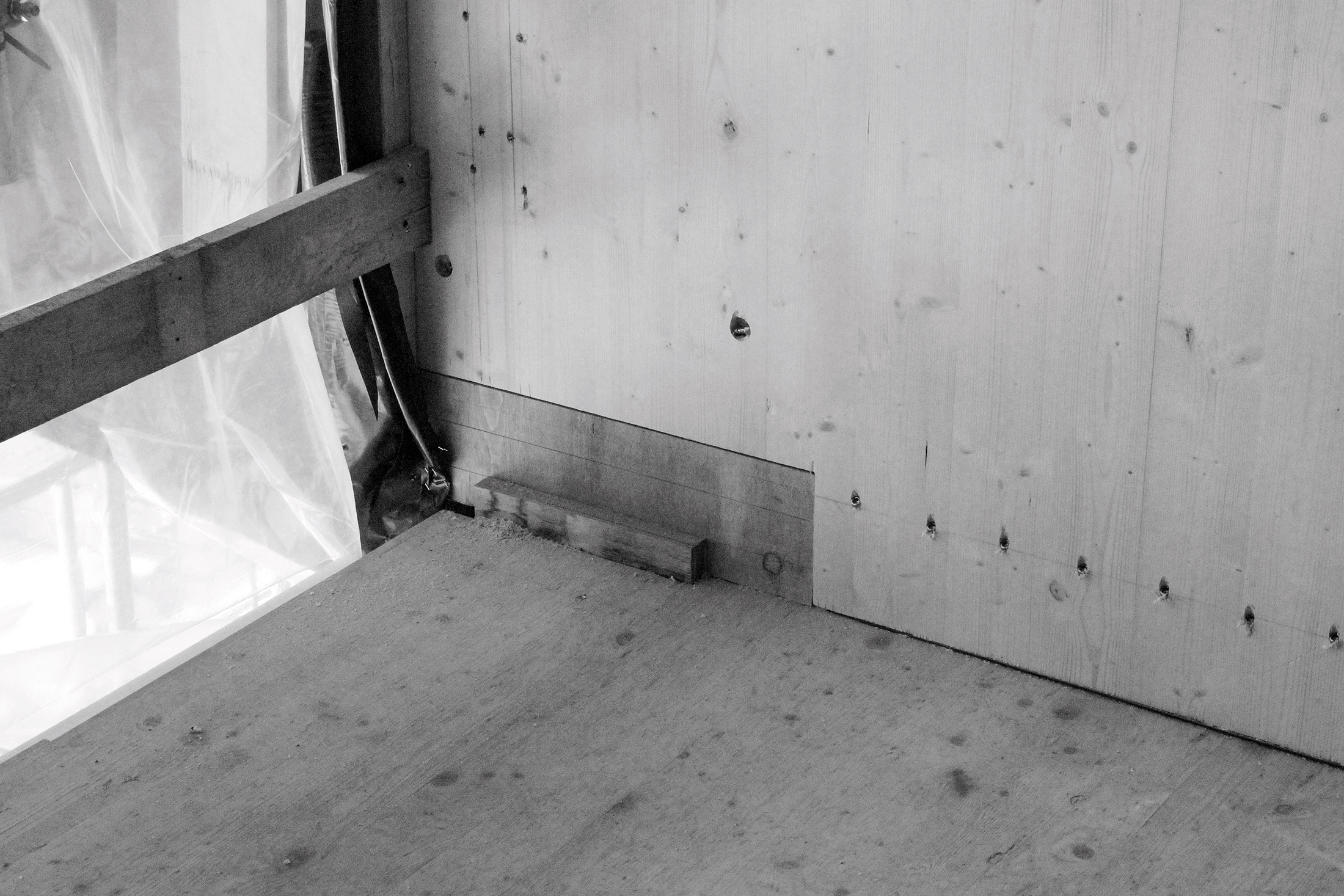 Capitello in microlamellare di faggio