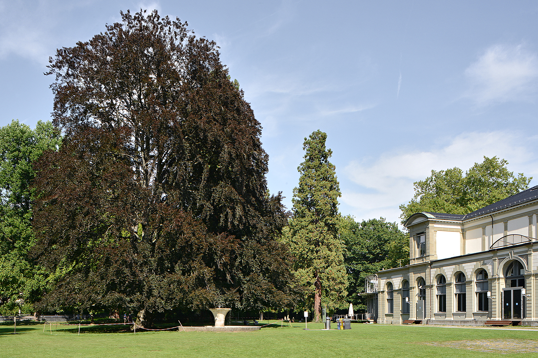 Le Kurpark. Le Kurpark, qui s’étend entre la gare et le quartier des bains, a été créé à l’âge d’or du thermalisme, à la fin du XIXe siècle. Aujourd’hui, c’est un vaste espace de détente apprécié de la population, recelant une grande variété d’essences. Son entretien dans les règles de l’art paysager historique est régi par un catalogue de prescriptions.