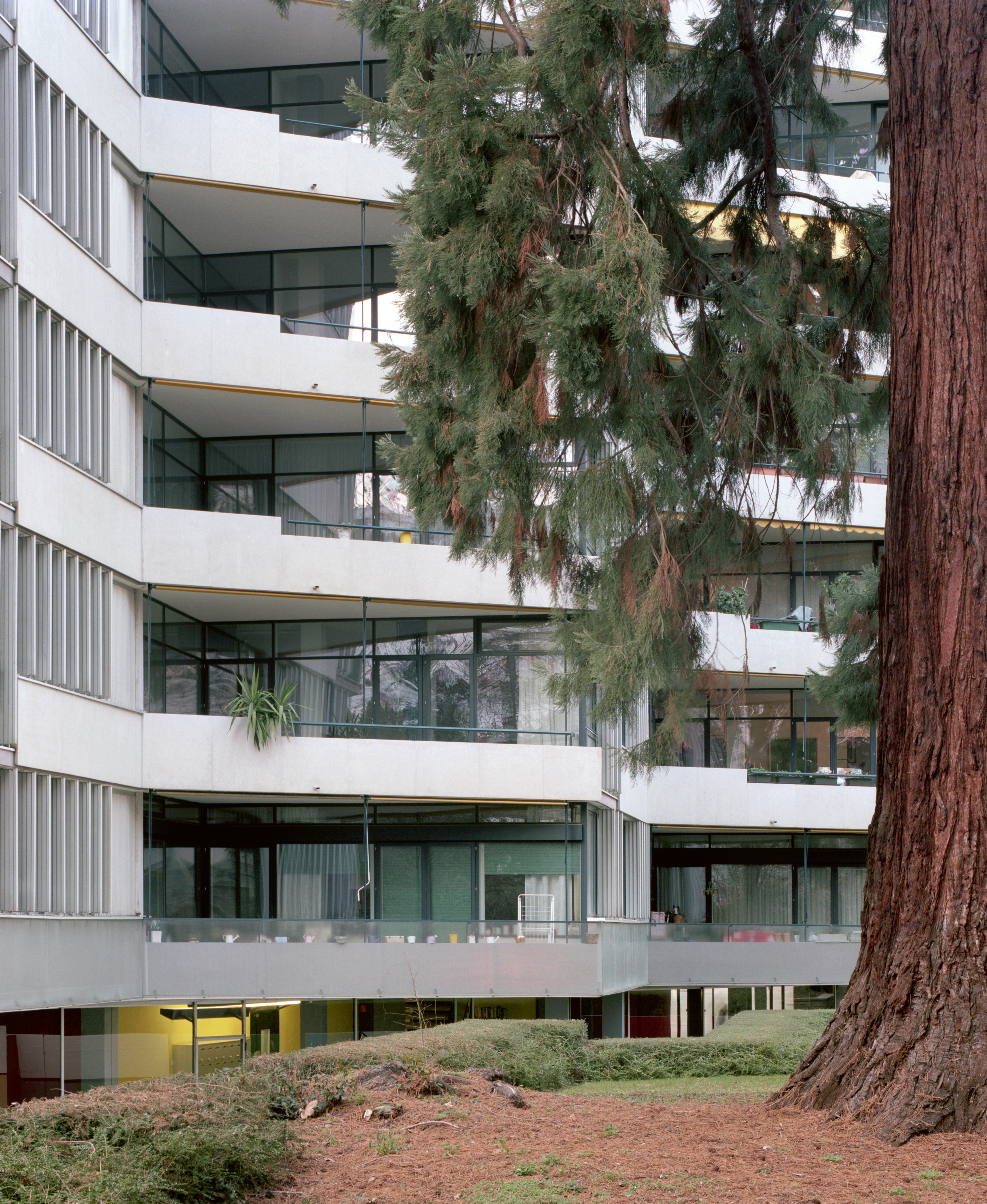 Miremont-le-Crêt, logements, 1953-1957