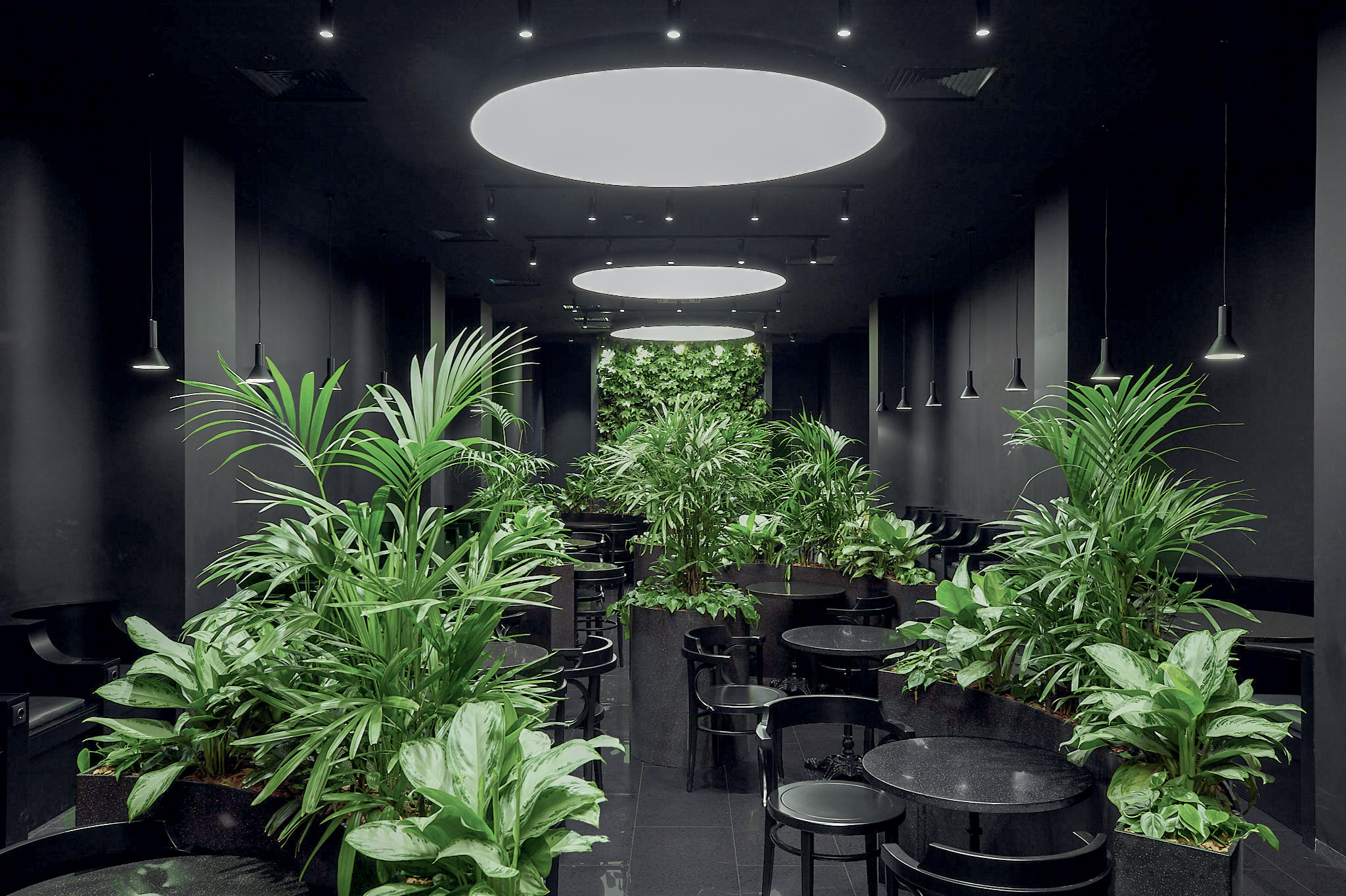 Dark Garden, salle VIP de l’aéroport international Koltsovo, Ekaterinburg, 2018