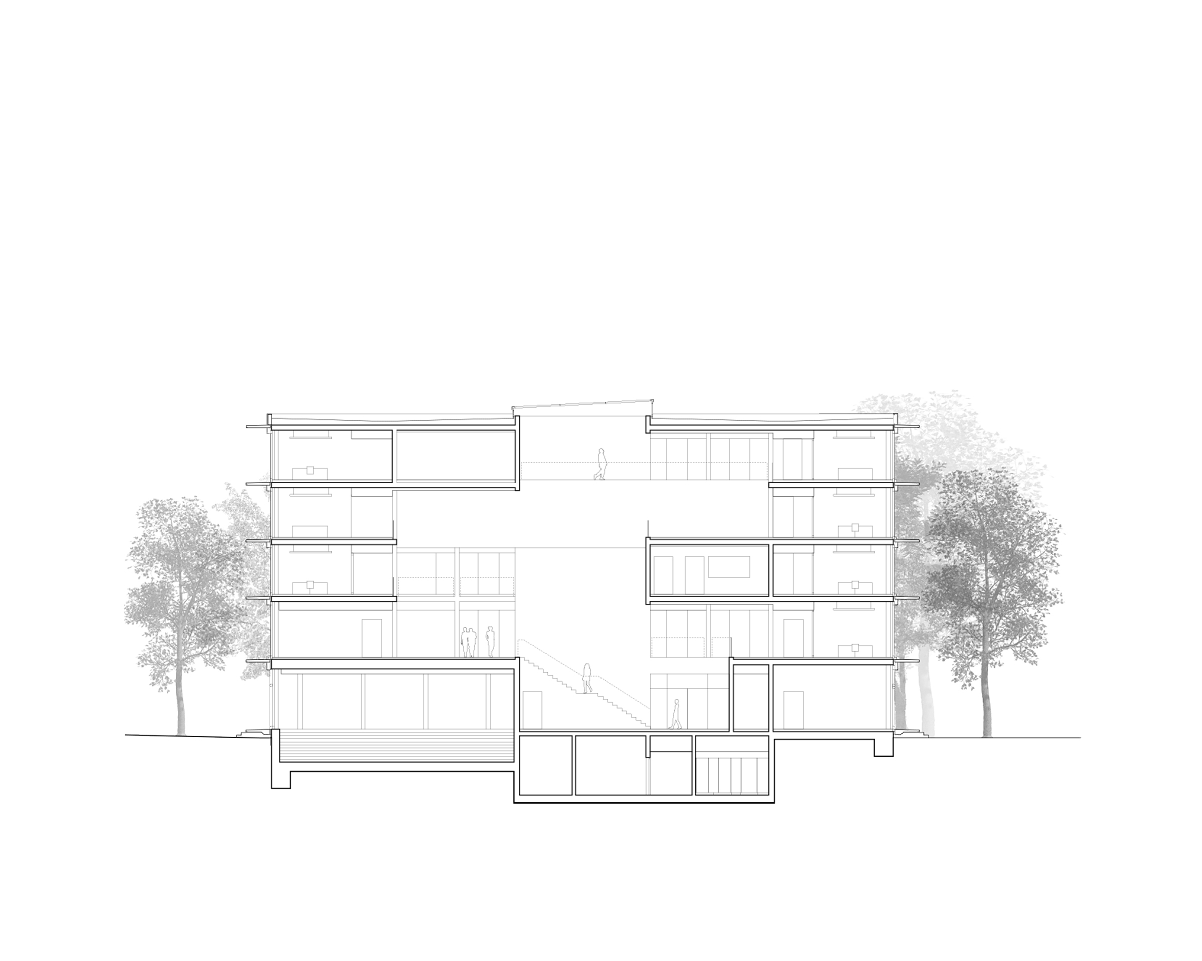 IdentitaetArchitektur_Institut-Sportwissenschaften_Schnitt