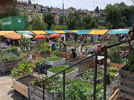 Zwischennutzung Lattich StGallen
