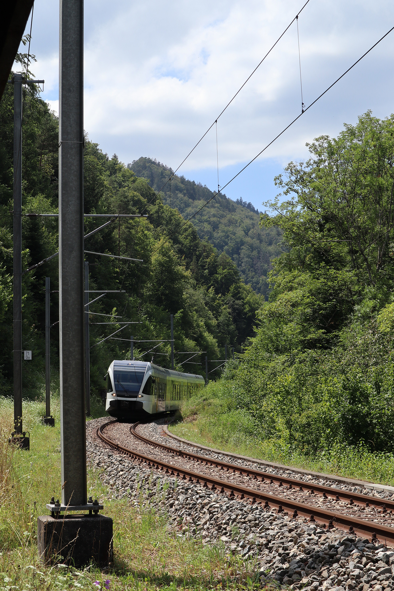 Schutzwald_GorgedeCourt