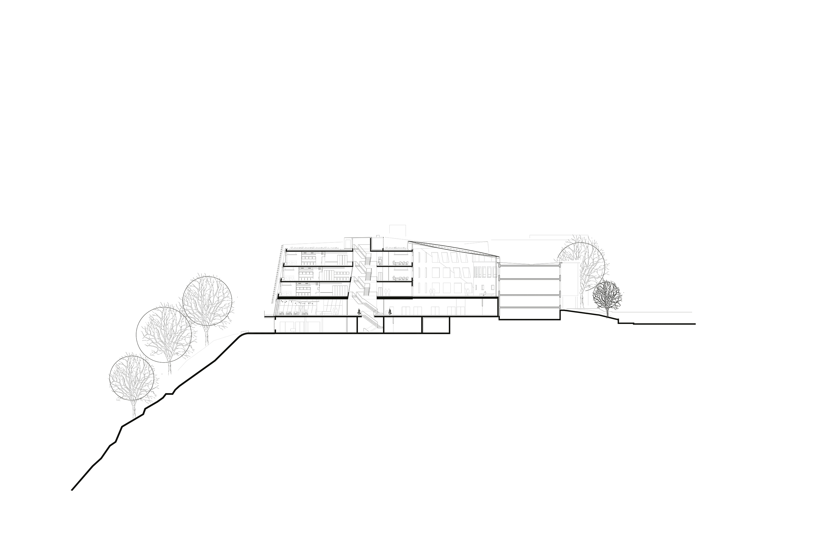 Agora Lausanne Schnitt 02