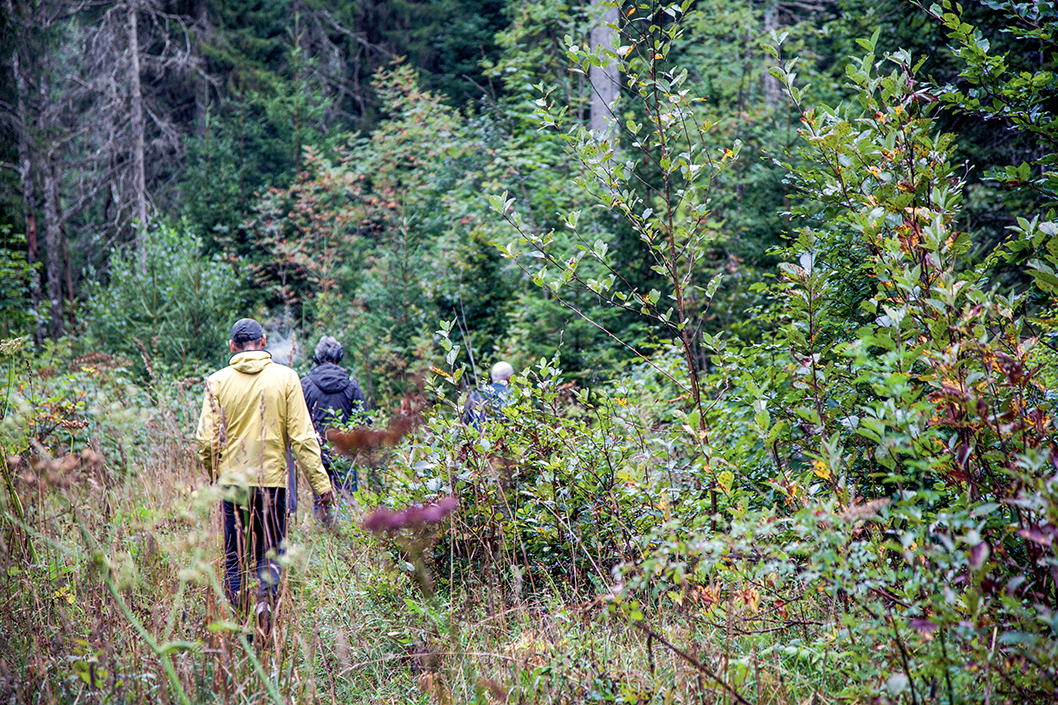 Travail de terrain, arpentage. L’Auberson (CH_FR), 09.2019