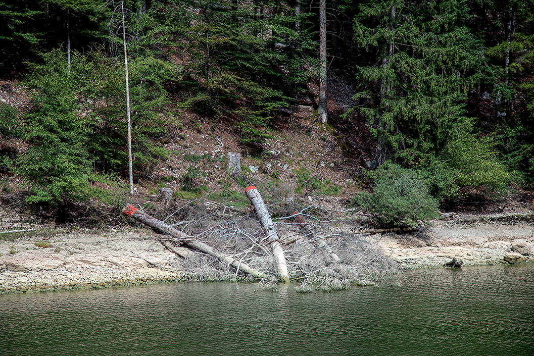 Bord du Doubs (CH_FR), 09.2019