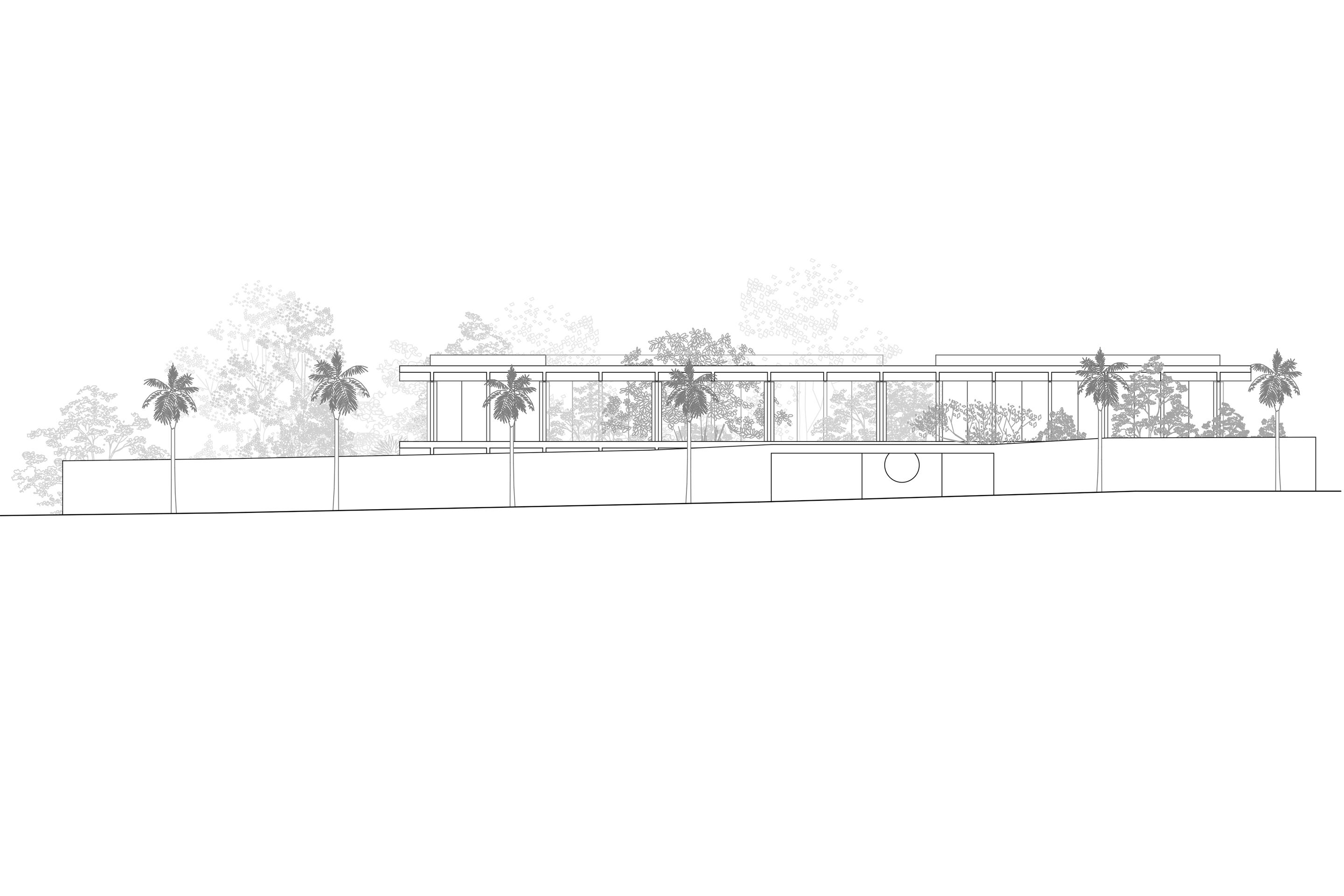 Vista est, scala 1 : 500.