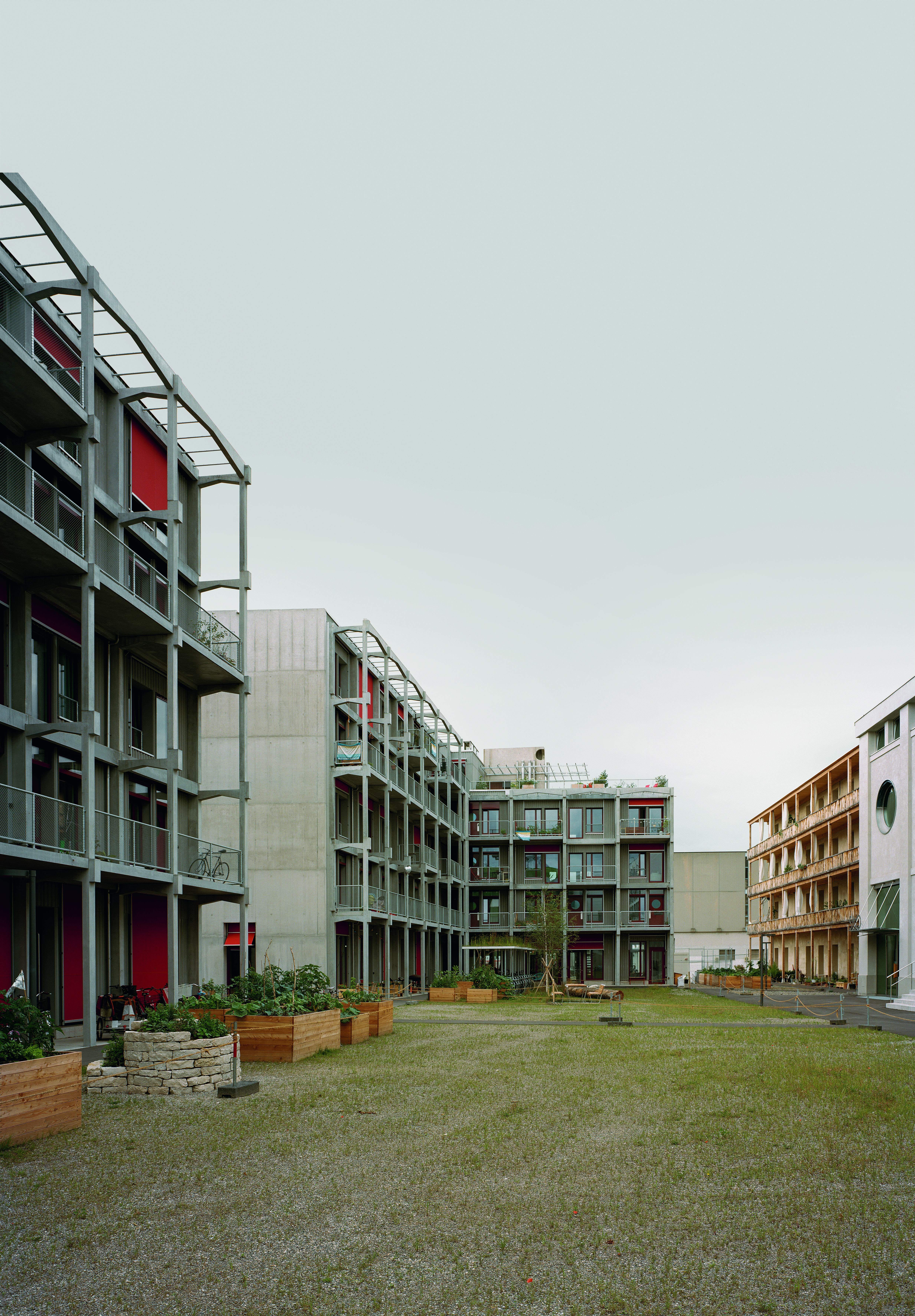 Abendrot-Erlenmatt-2