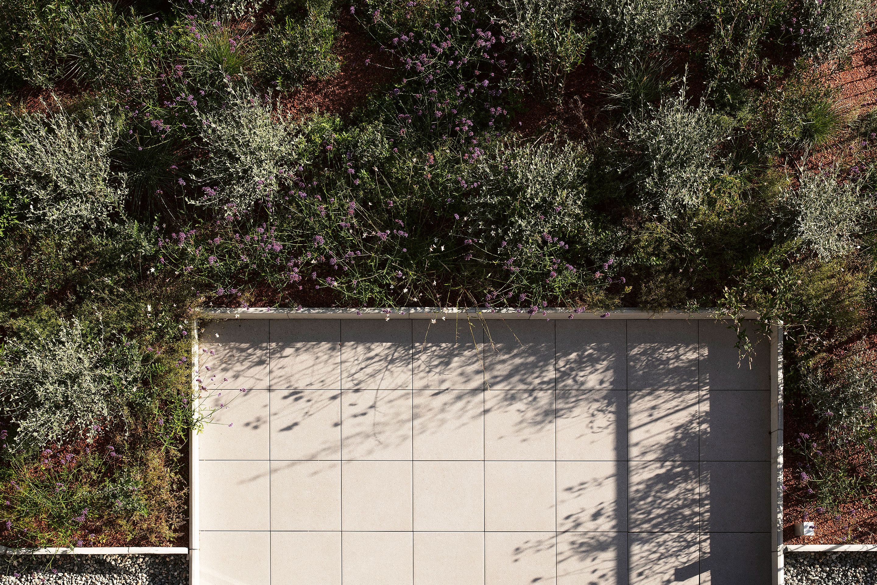 Residenza-Radice-Massagno-1