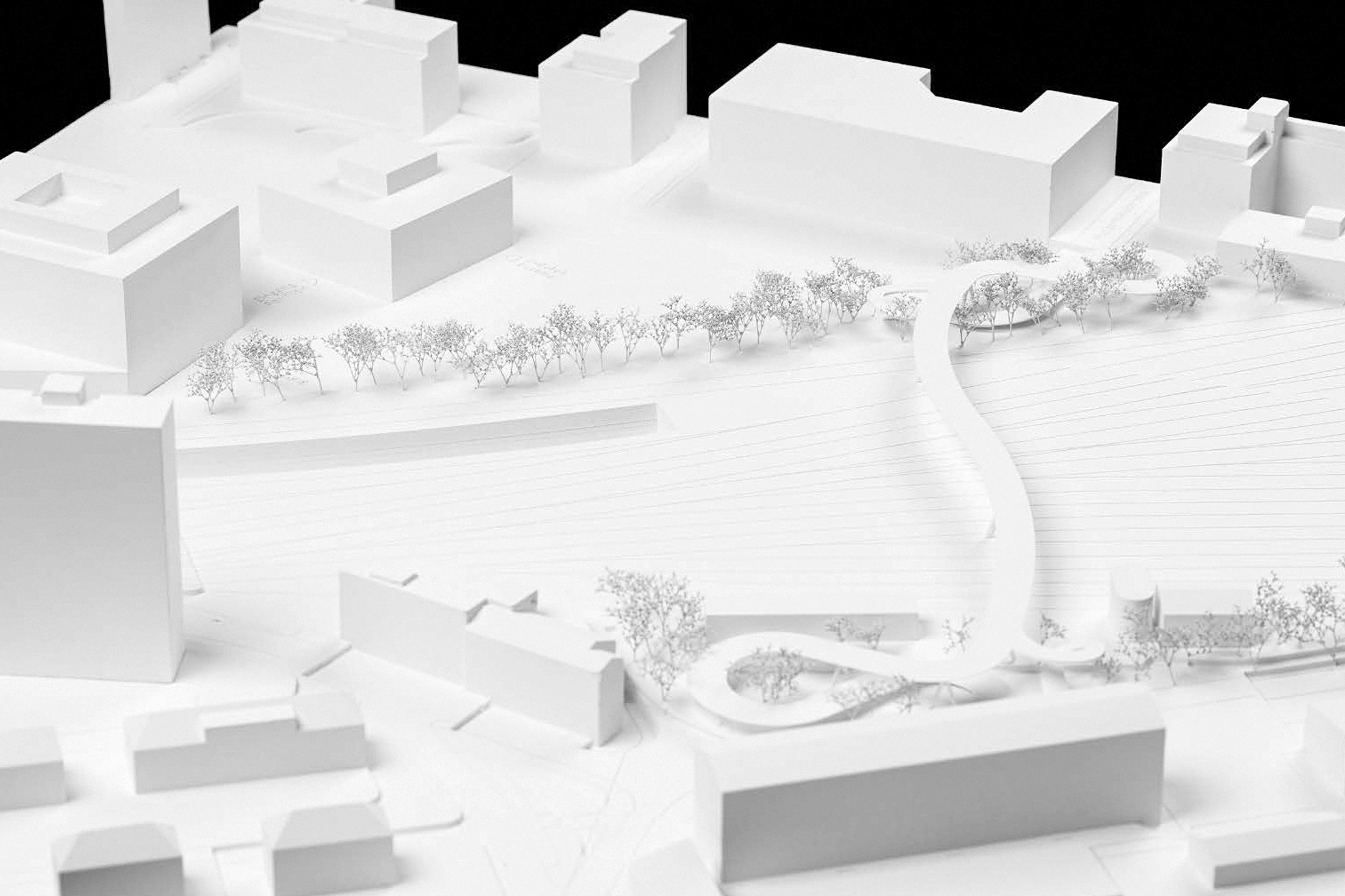 «Blossfeldt»: Ingeni, Lausanne.