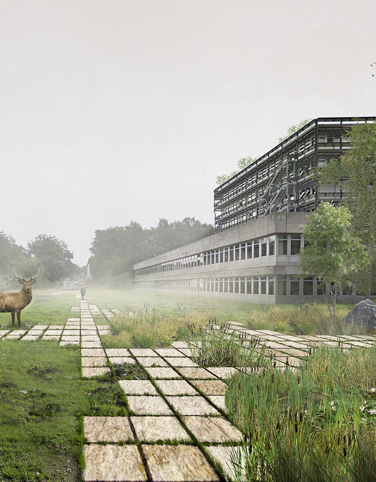 Campus-02-strategies