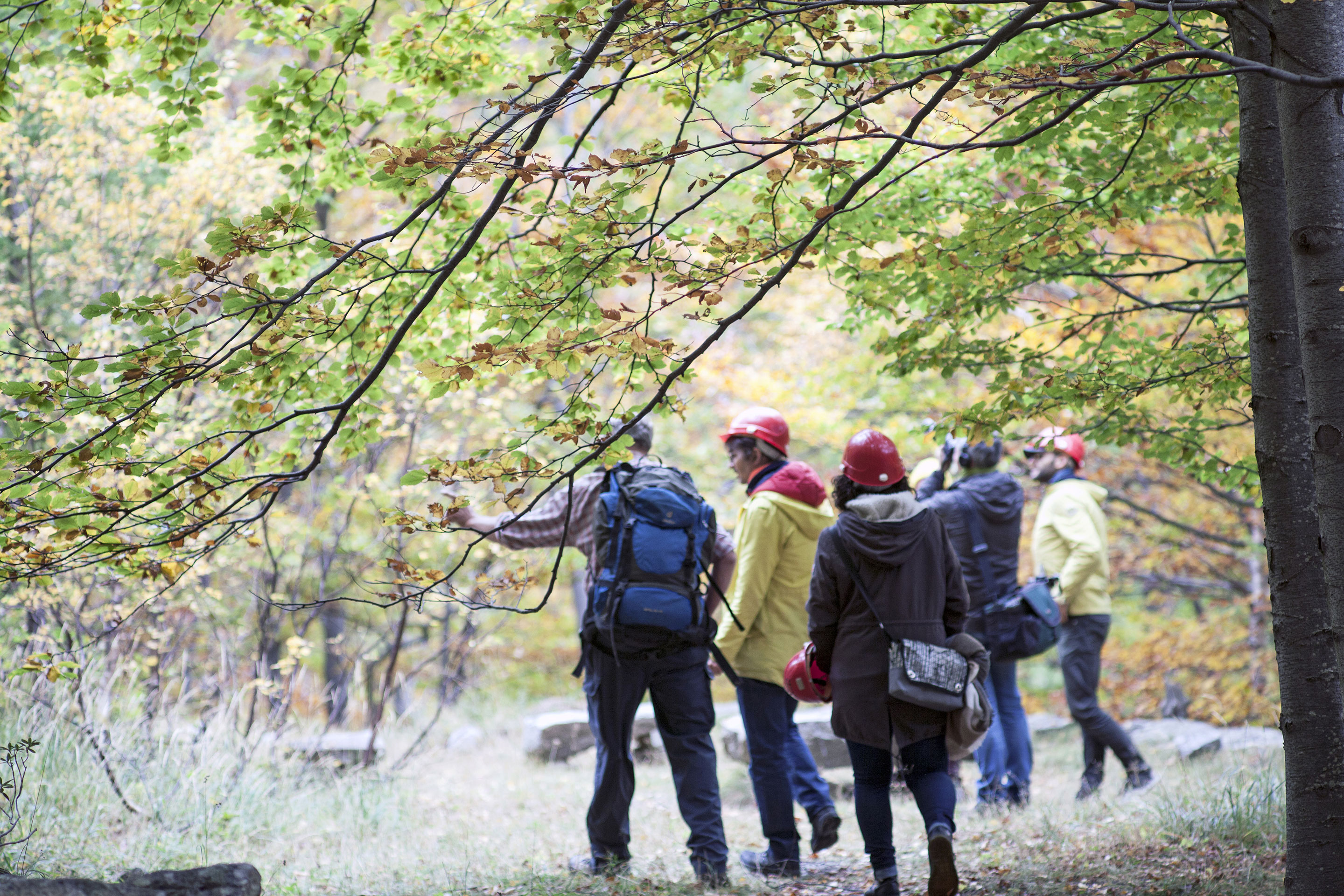 Architekturbiennale-Schweizer-Pavillon-oræ-6