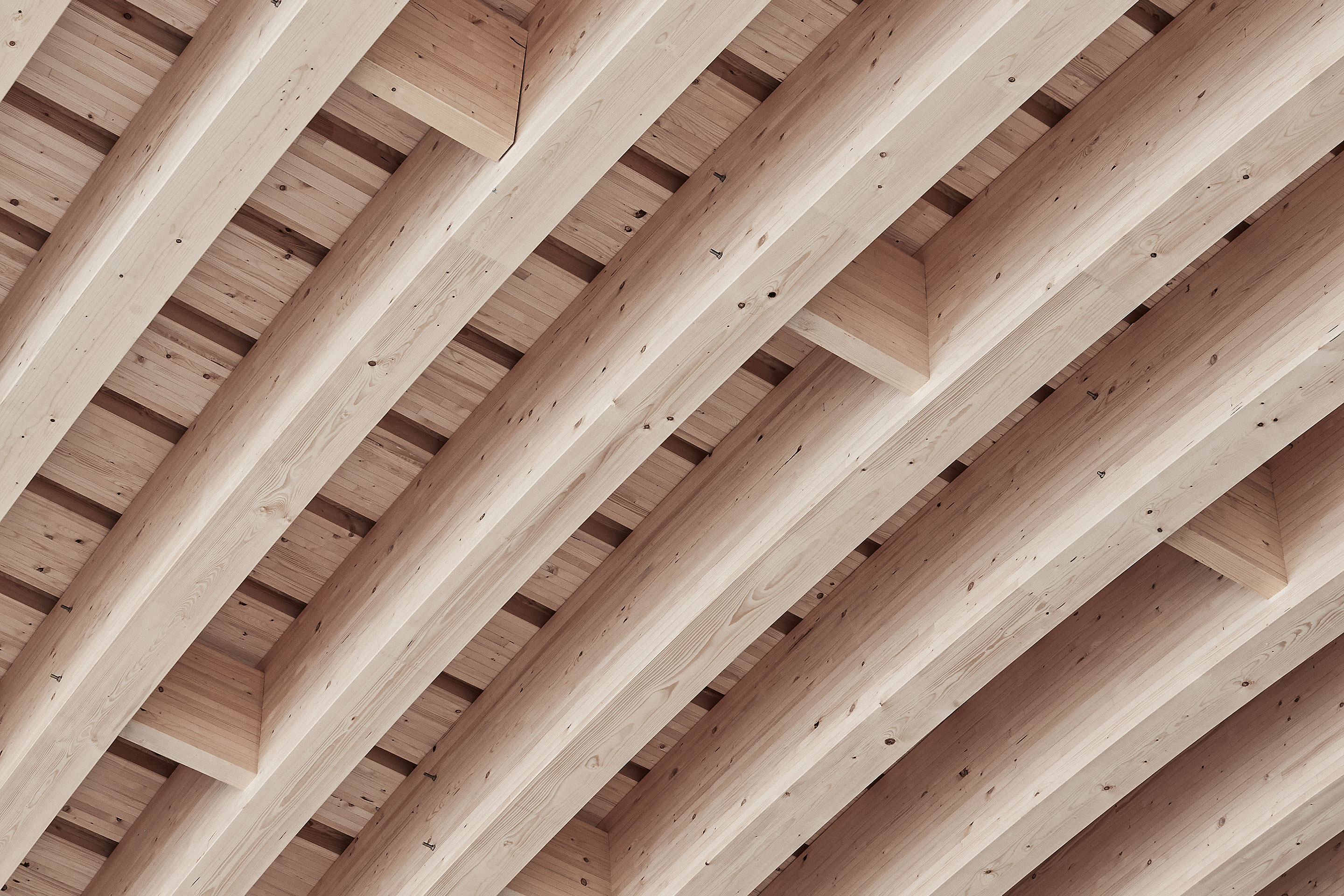 Passage-à-faune-Vue-inférieure