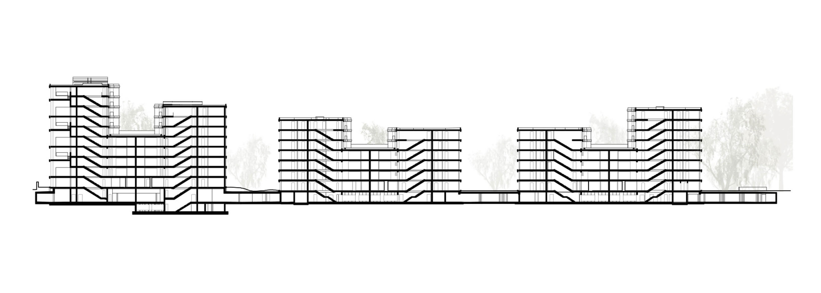 Sezione longitudinale