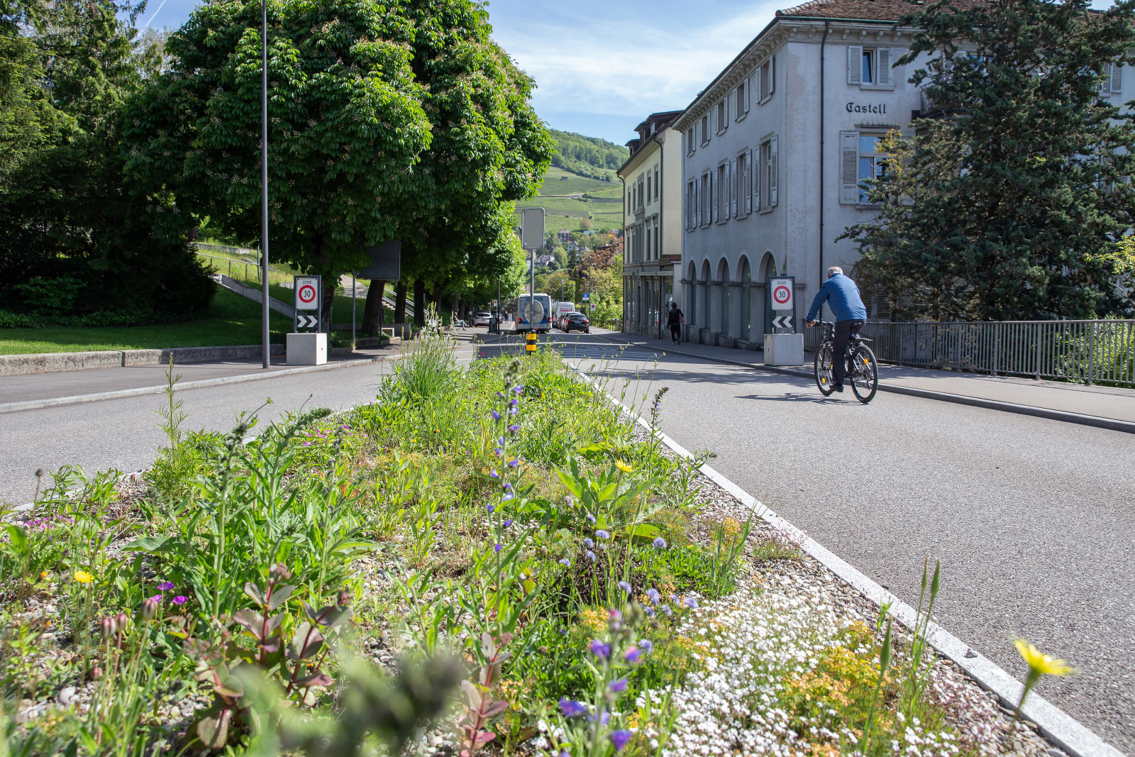 Im Projekt «Natur findet Stadt» wurden viele kleine Strassenbegleitflächen als Ruderalstandorte mit vielfältiger einheimischer Flora gestaltet, wie hier in der Stadt Baden.