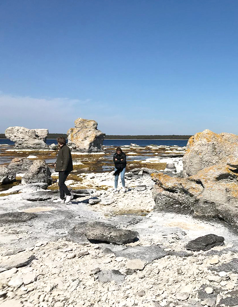 U40 und der Wettbewerb: Estrada Reichen Architekten.
