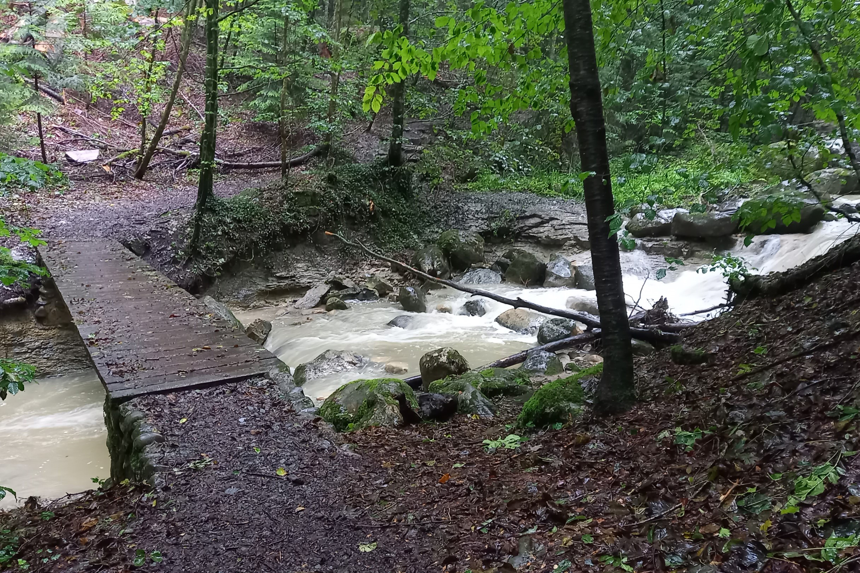 Sieben-Brueggliweg-Brueggli