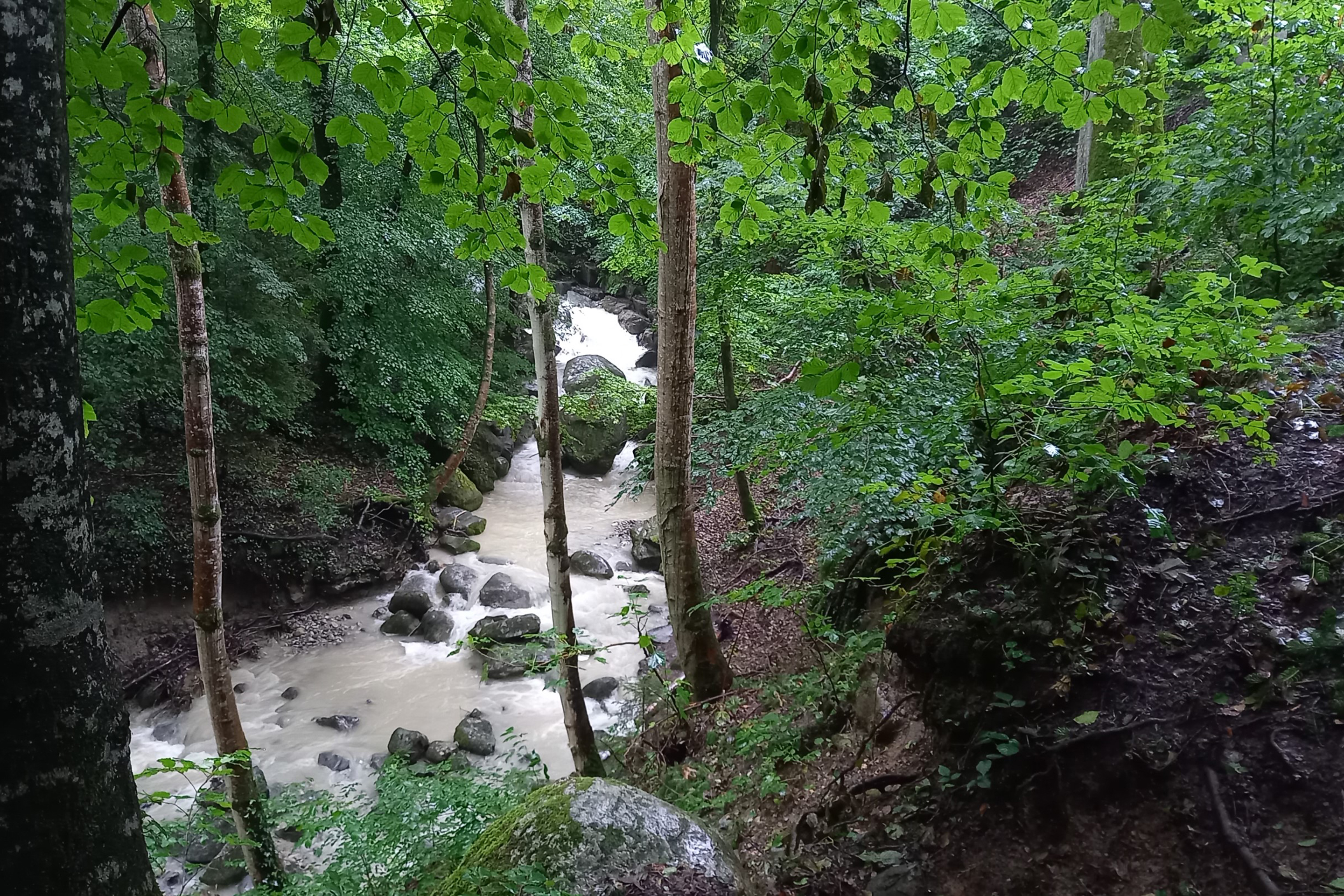 Sieben-Brueggliweg-Duenkelsbach-2