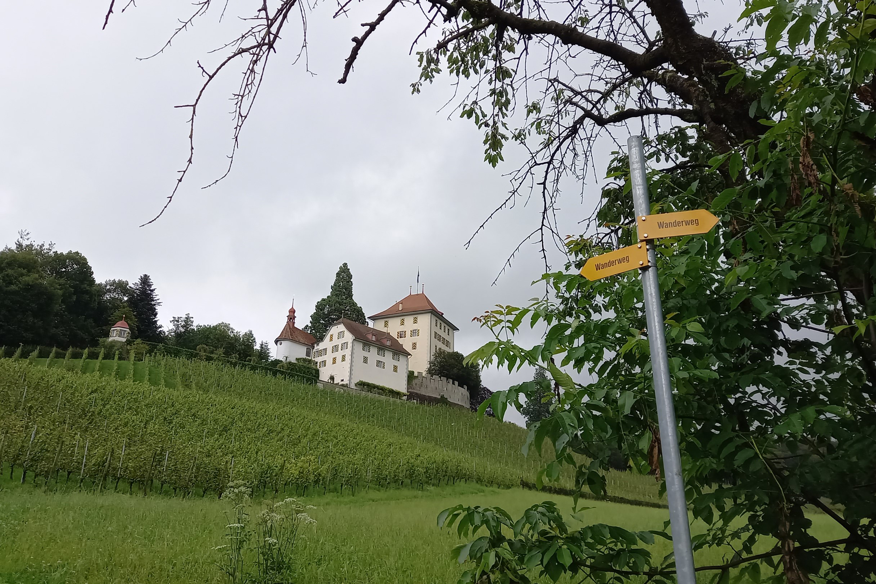 Sieben-Brueggliweg-Schloss-Heidegg