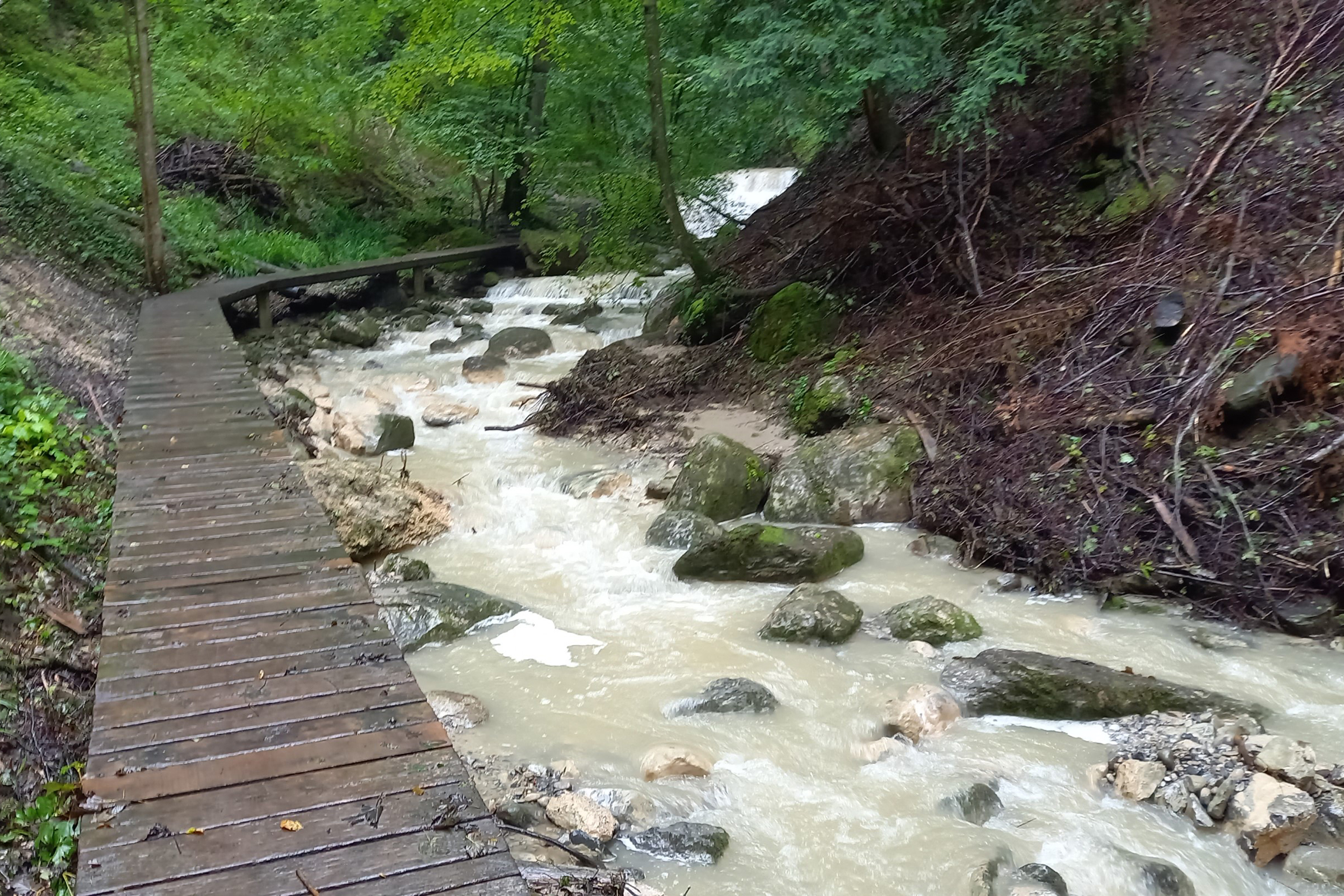 Sieben-Brueggliweg-Steg