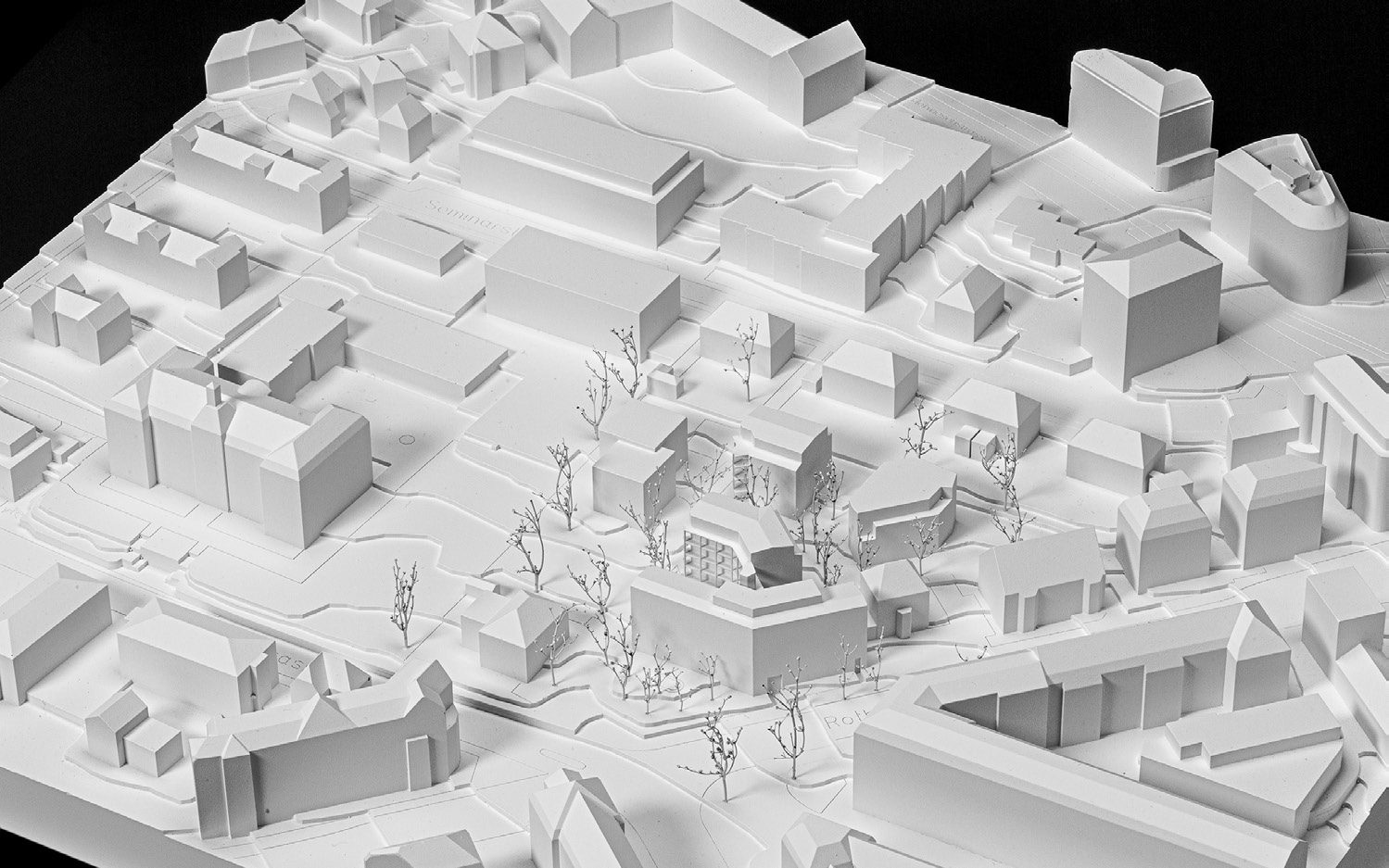 4. Rang / 4. Preis: «Faggio Comune» von KilgaPopp Architekten mit SMS Landschaftsarchitektur.