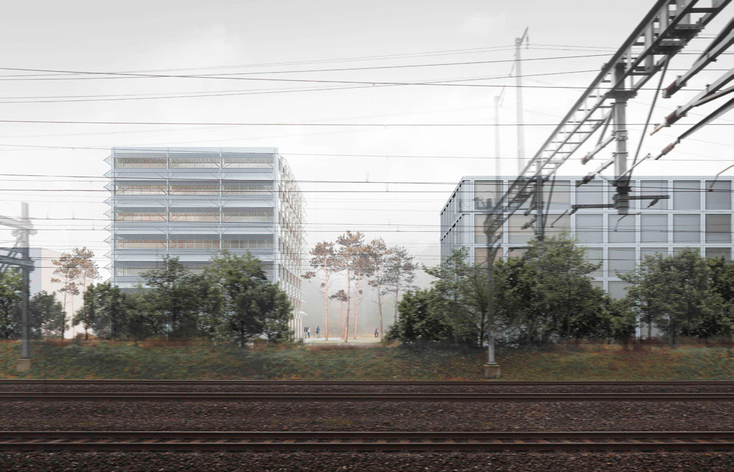 3. Rang / 3. Preis: «Eunomia 1», Waldrap, Zürich.