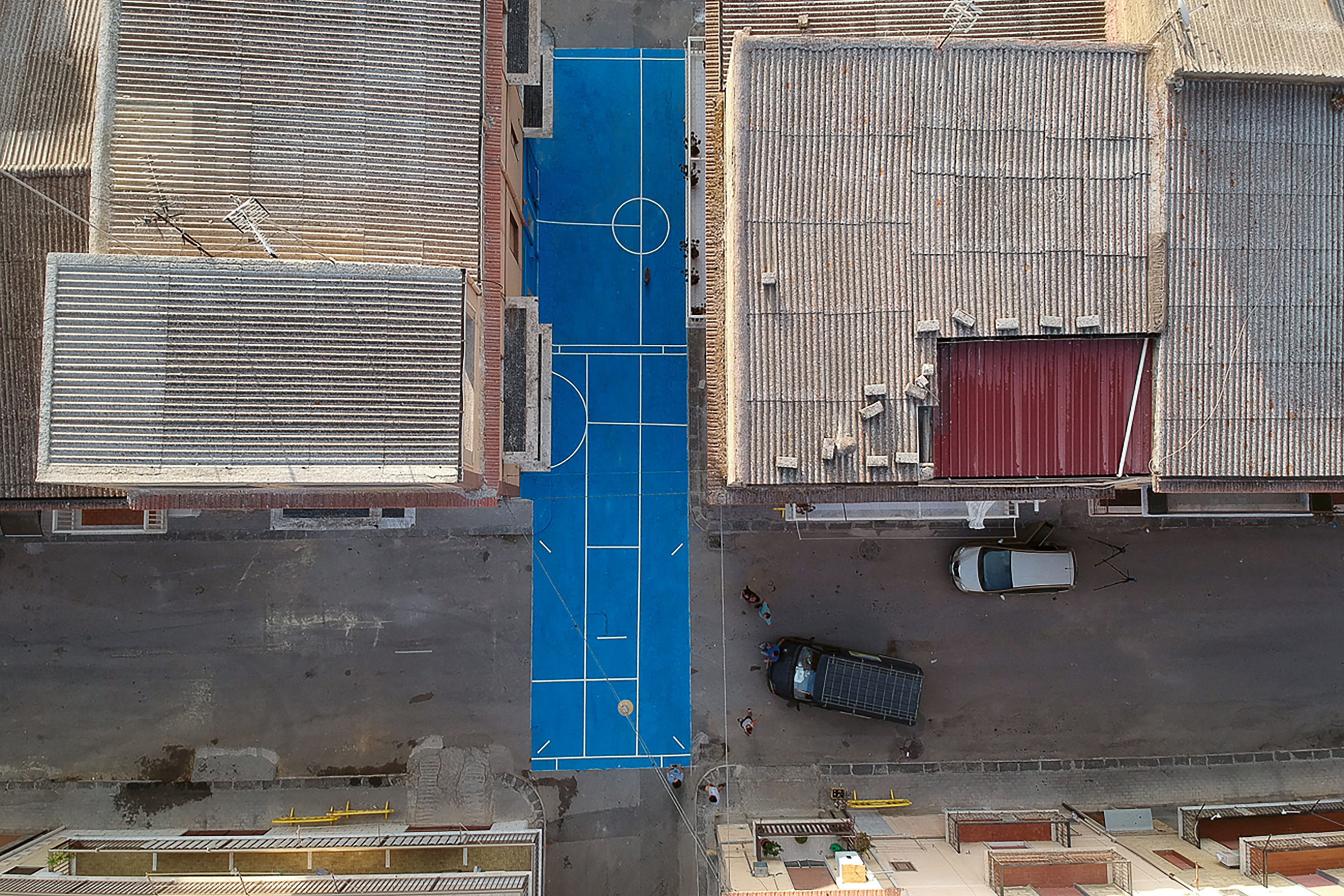 4-Rivoluzione-delle-Seppie-Orizzontale