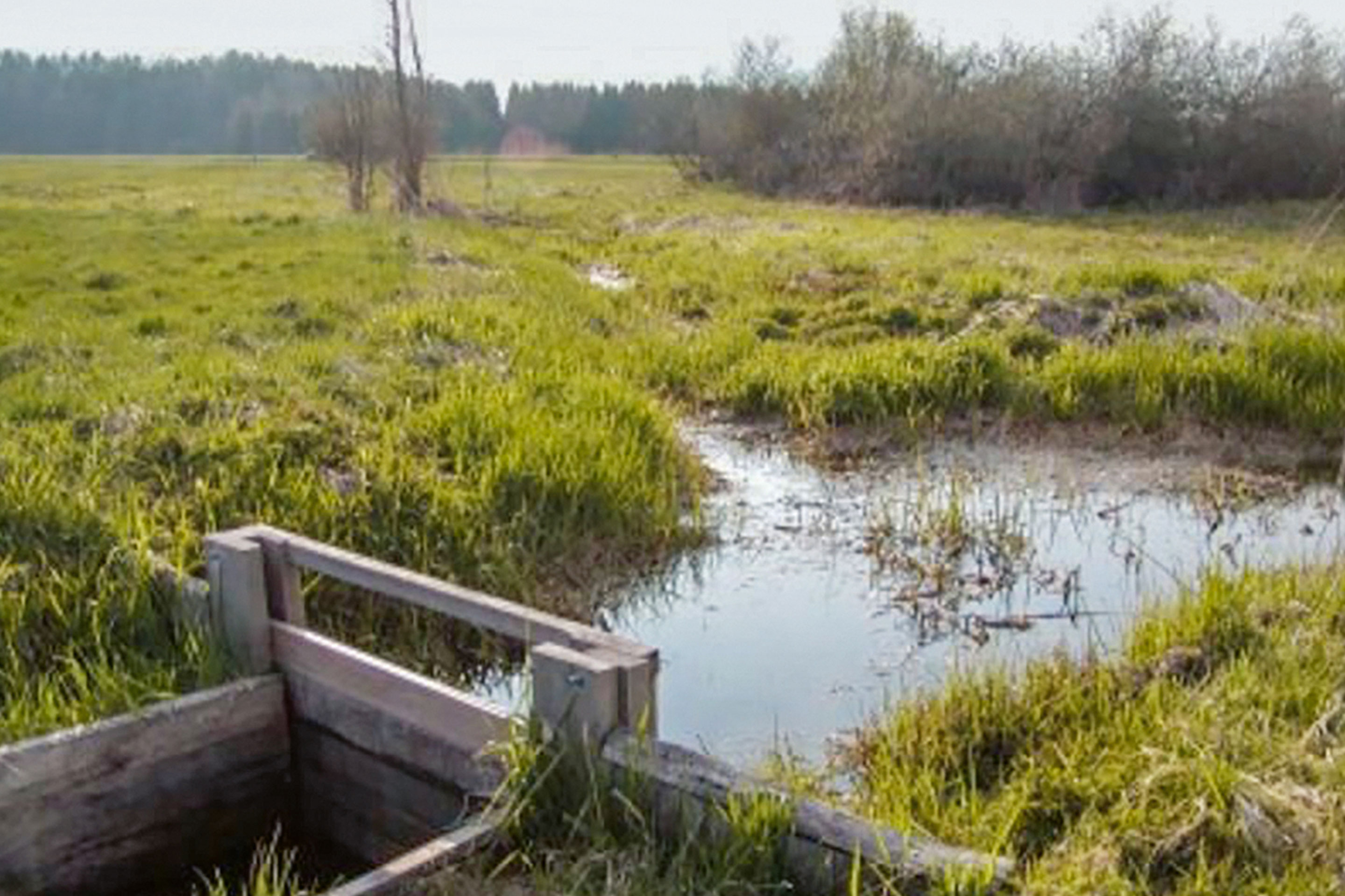 L wie Lowtech-Klimaschutz: Moorvernässung durch ein regulierbares Anstauwehr im Naturschutz­gebiet Bodenmöser bei Isny (D).