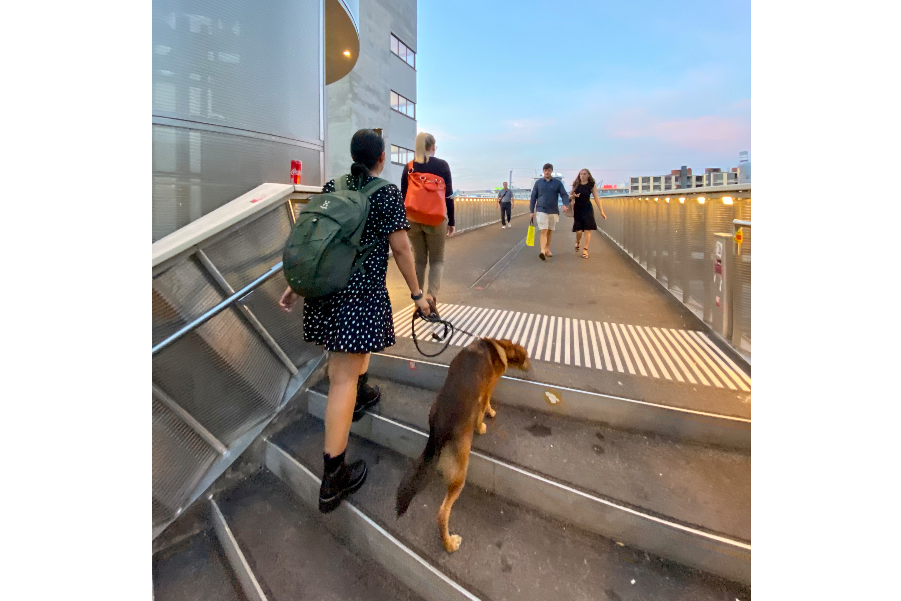 Negrellisteg-Zusatz-7