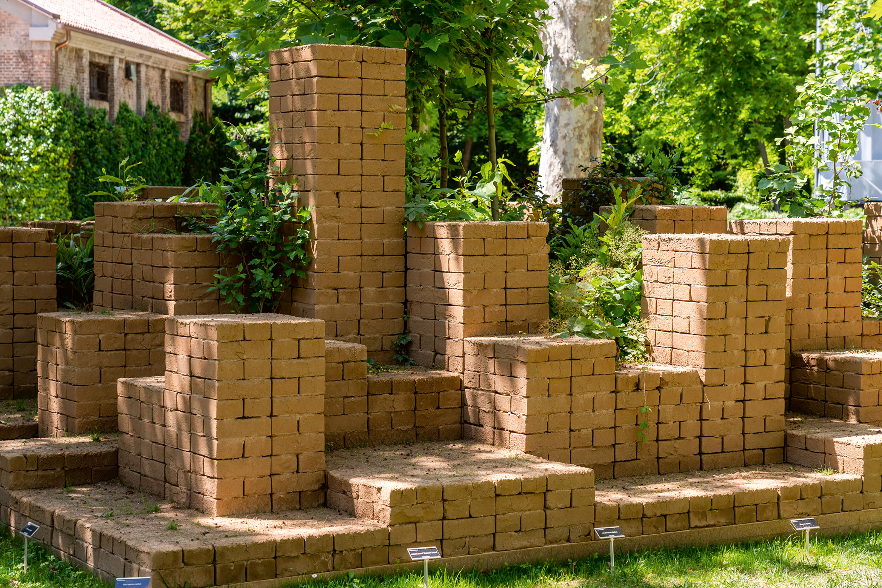 Vie-et-mort-de-life-4