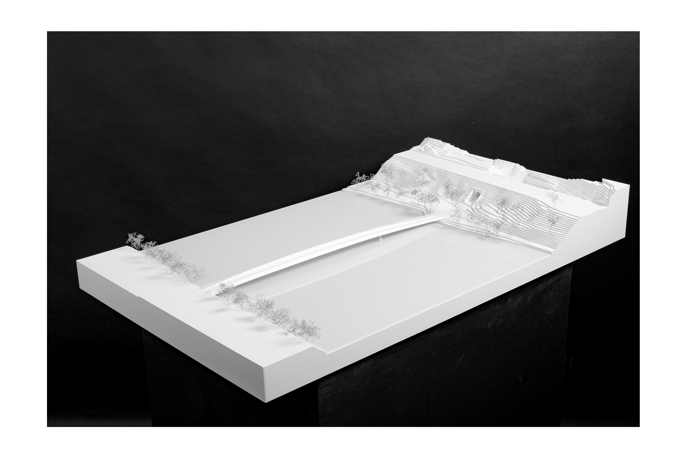 Limmatsteg-Neuenhof-3