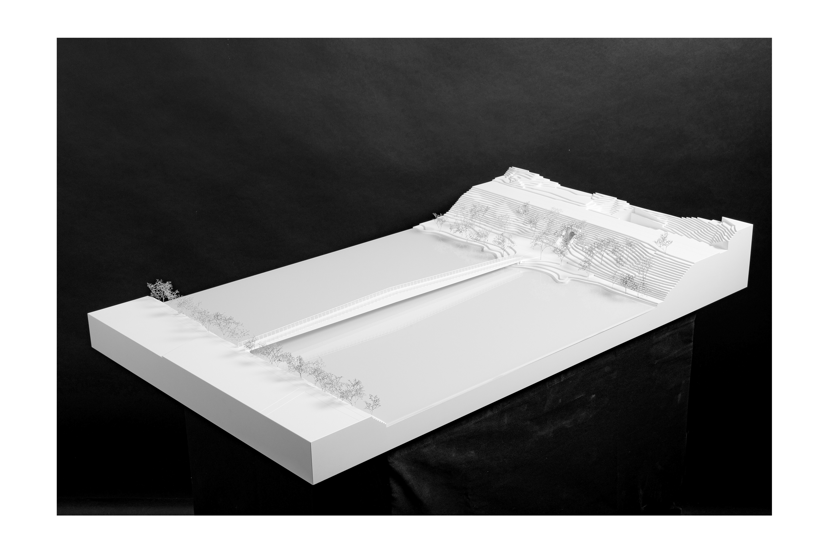 Limmatsteg-Neuenhof-6