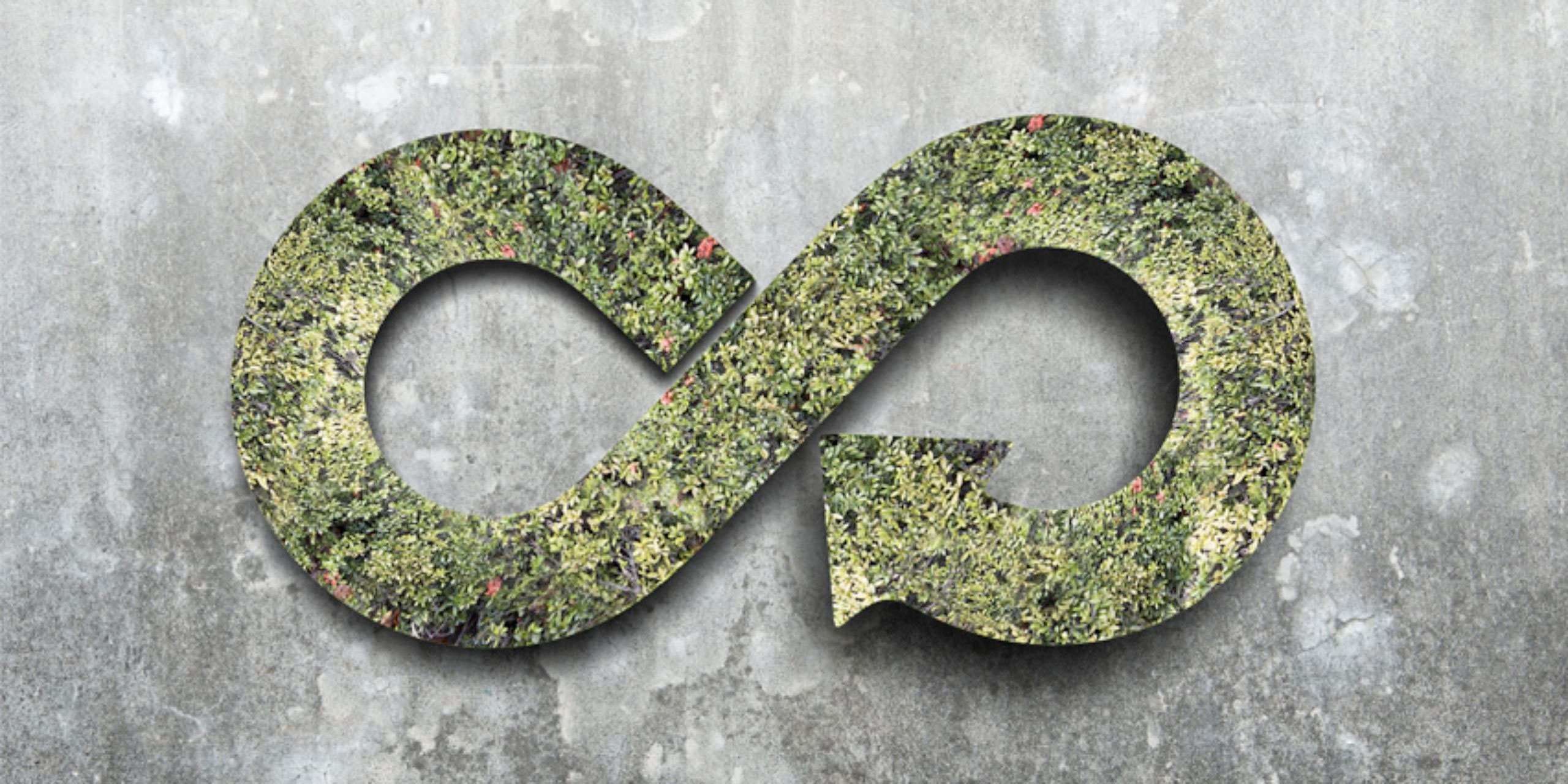 Circular Innovation and Sustainability