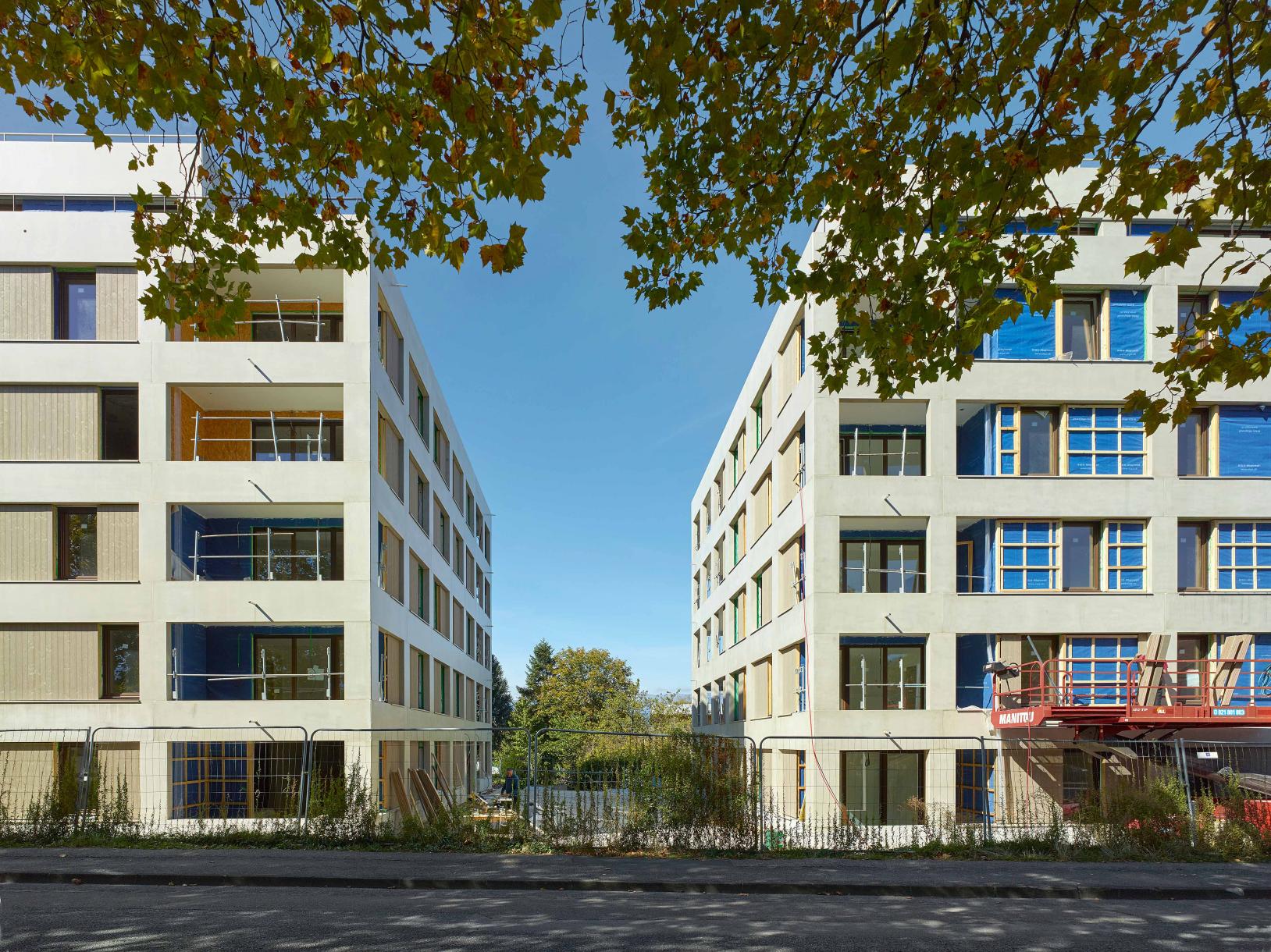 Cath­rin Tre­bel­jahr