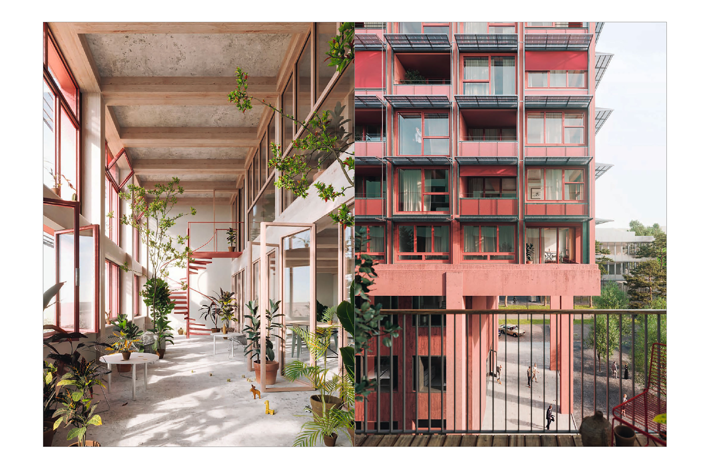 Monografie-Boltshauser-4