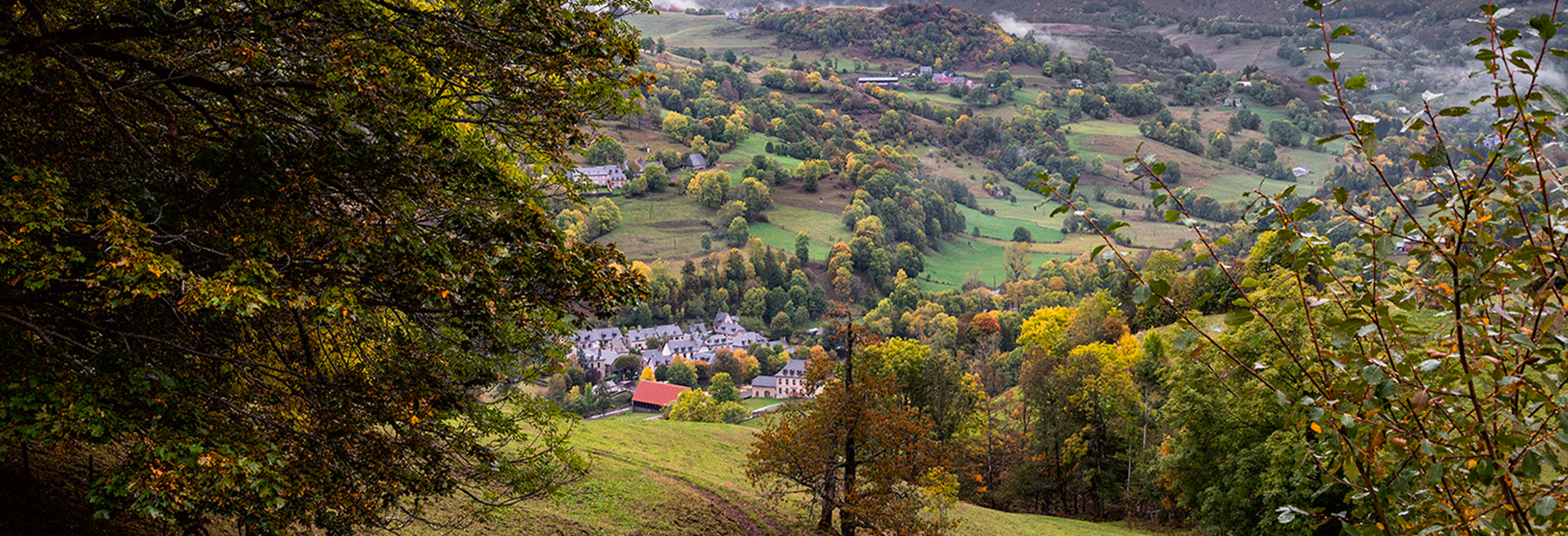 dossier ruralité