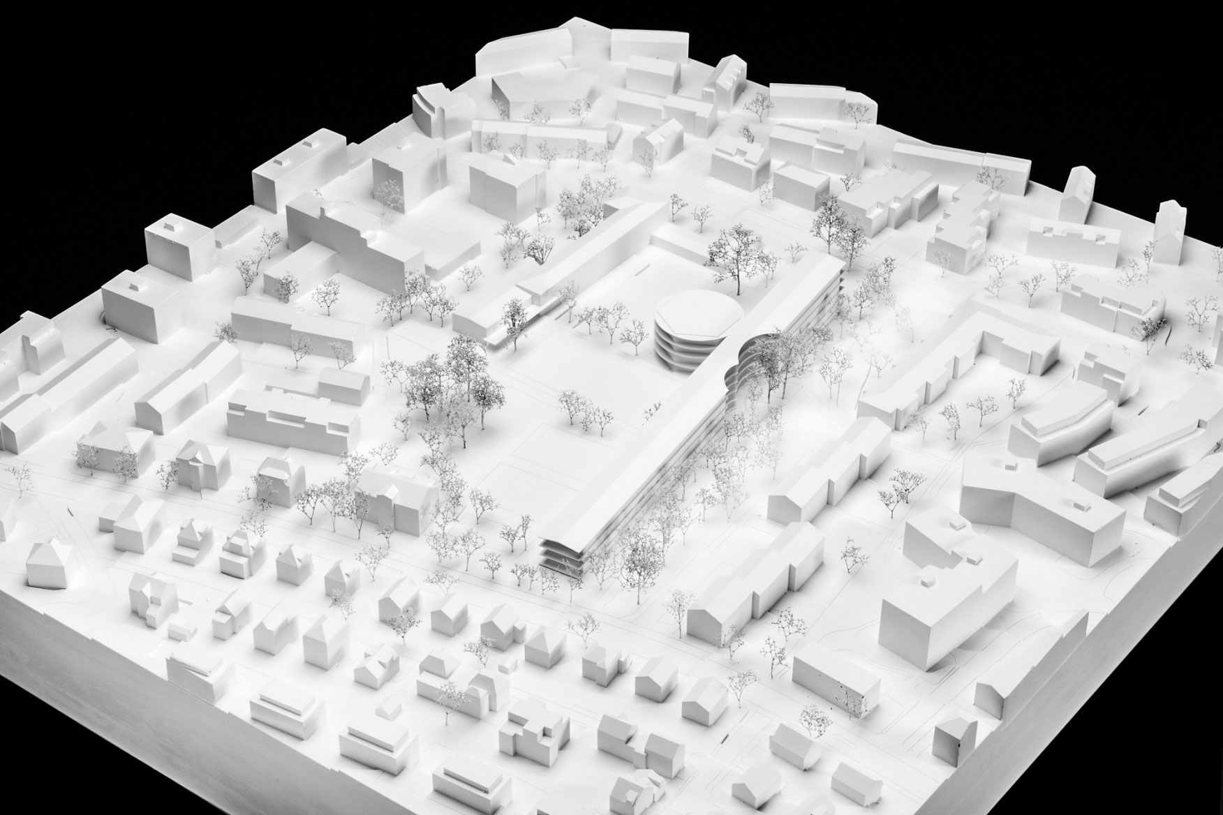 5. Rang «Thalamegos» von Piertzovanis Toews.