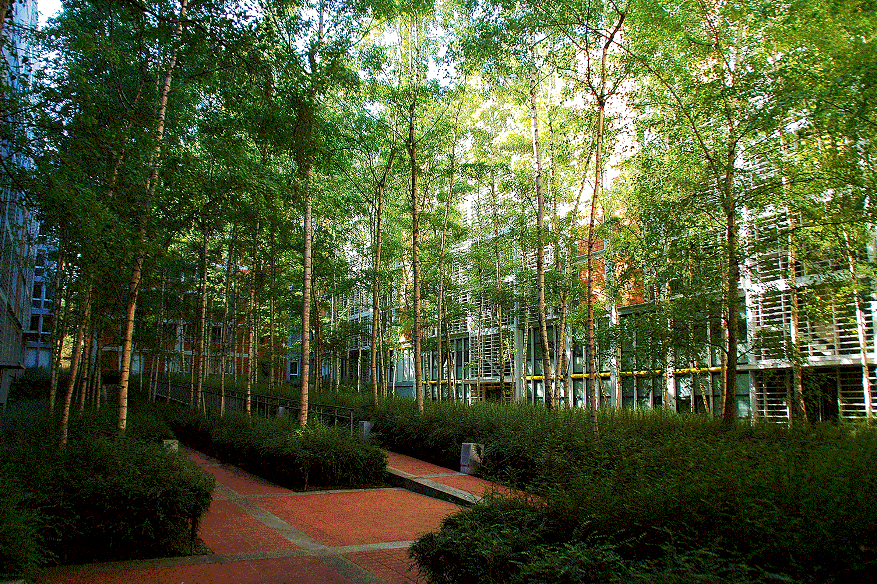 Dibattito-dal-progetto-al-piano-4