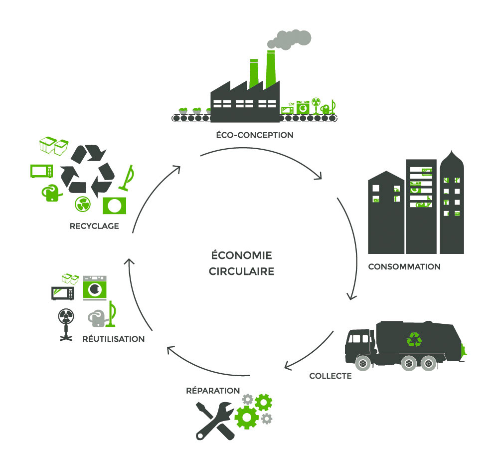 Schéma: l'économie circulaire