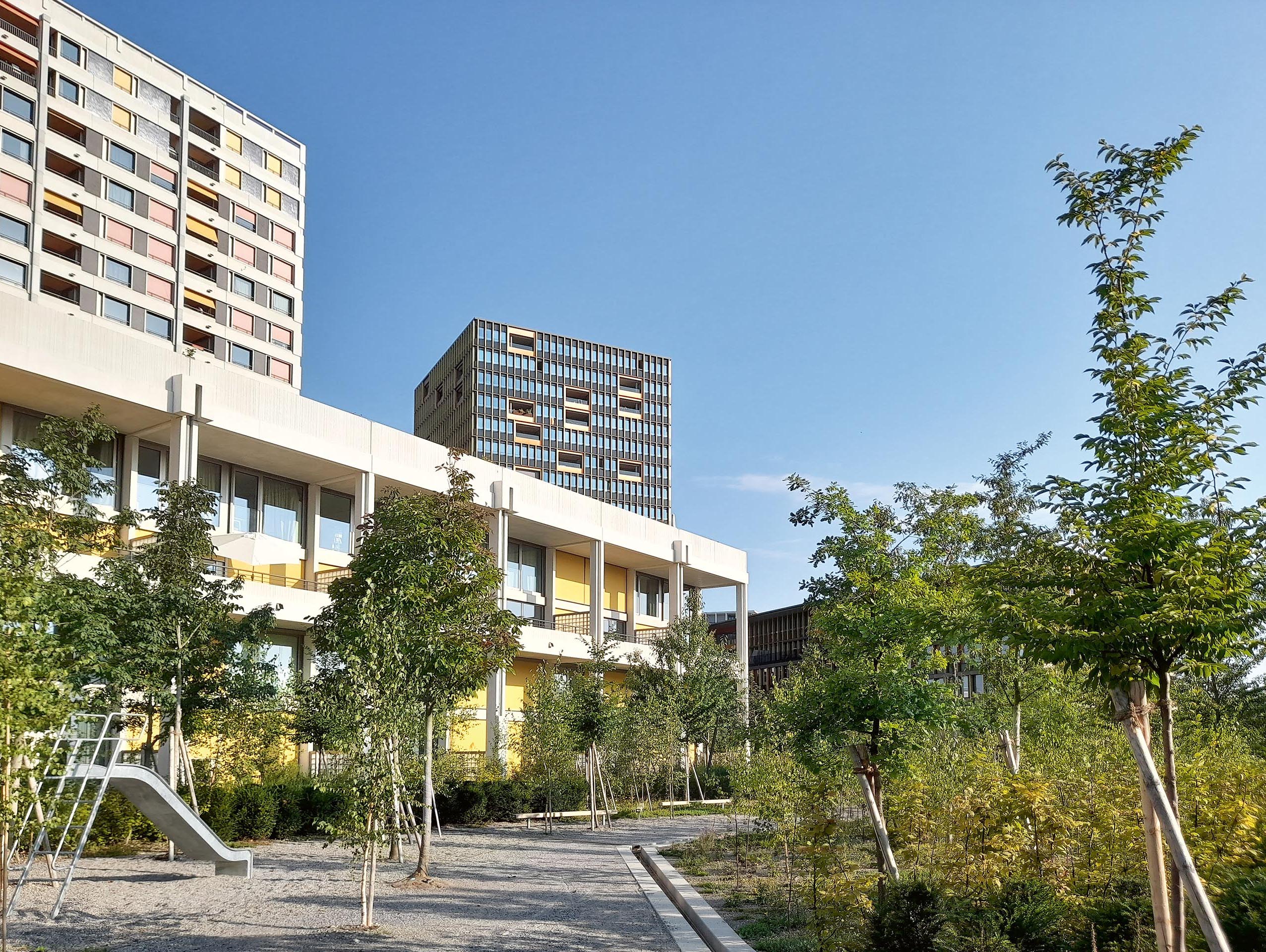 Die Stadt will Verdichten, auch Ihre Baumkrone Praxisbeispiel