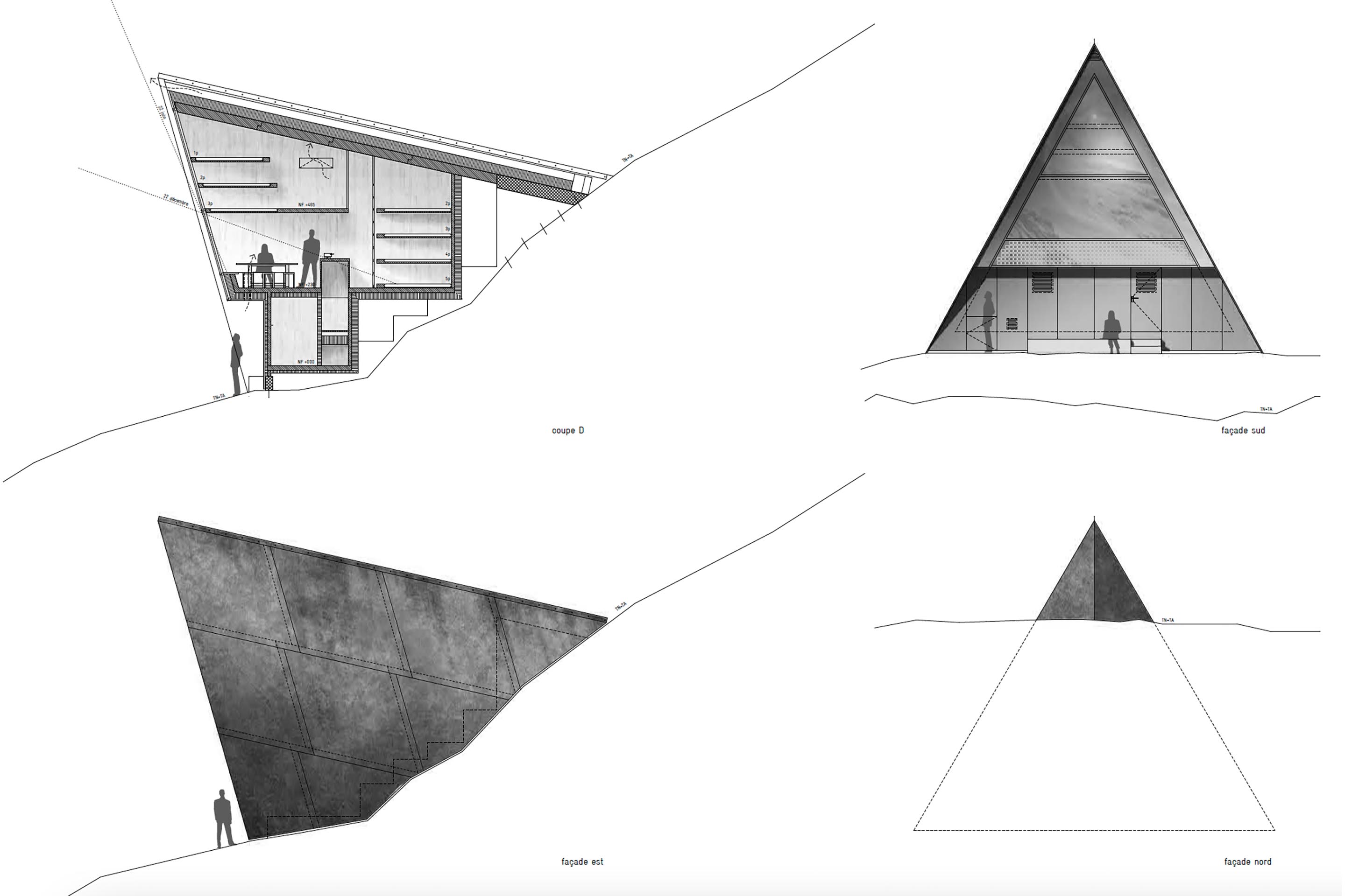Coupe longitudinale et élévations du projet lauréat trigon 2.0.